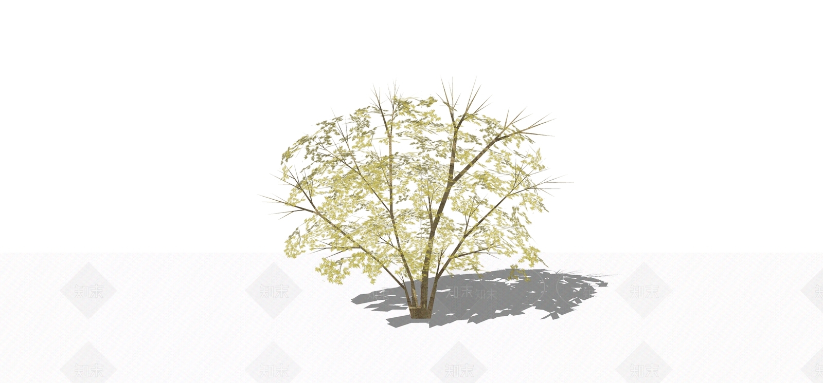 灌木SU模型下载【ID:1168467160】