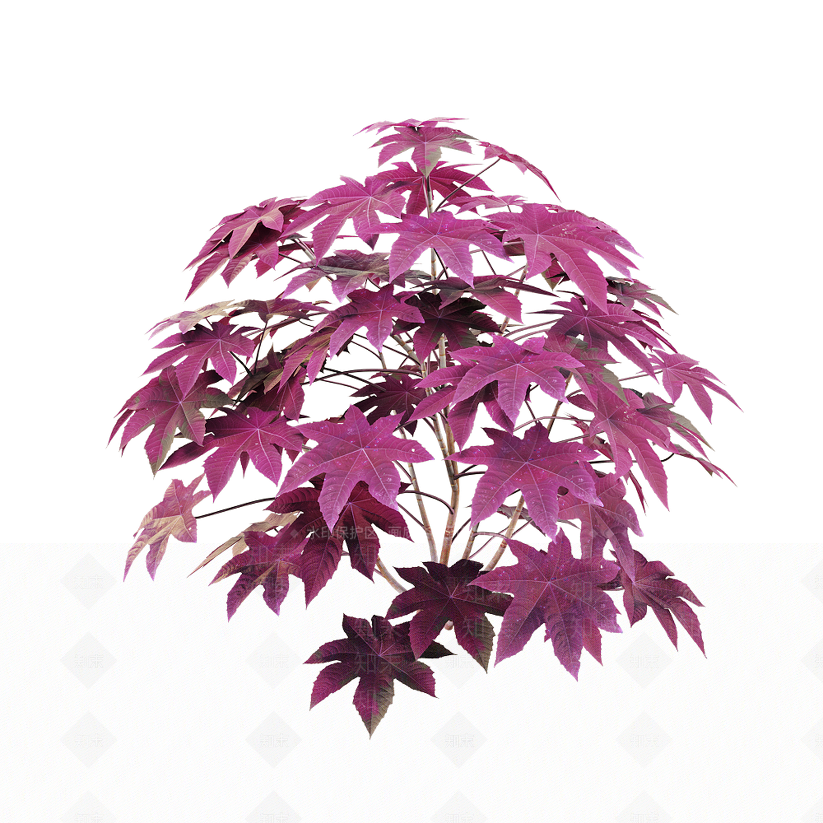 灌木SU模型下载【ID:1168532646】