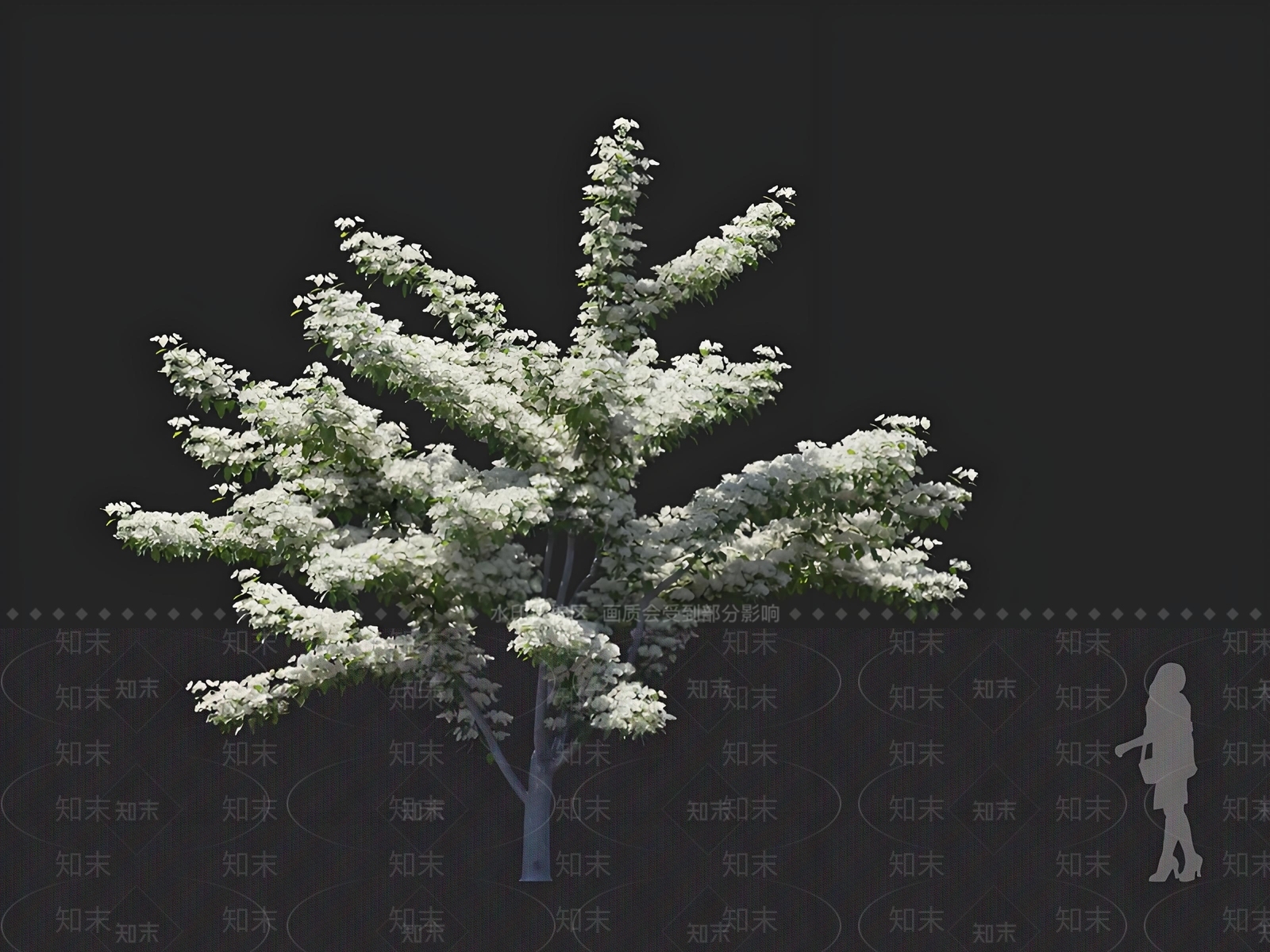 乔木3D模型下载【ID:1168547615】
