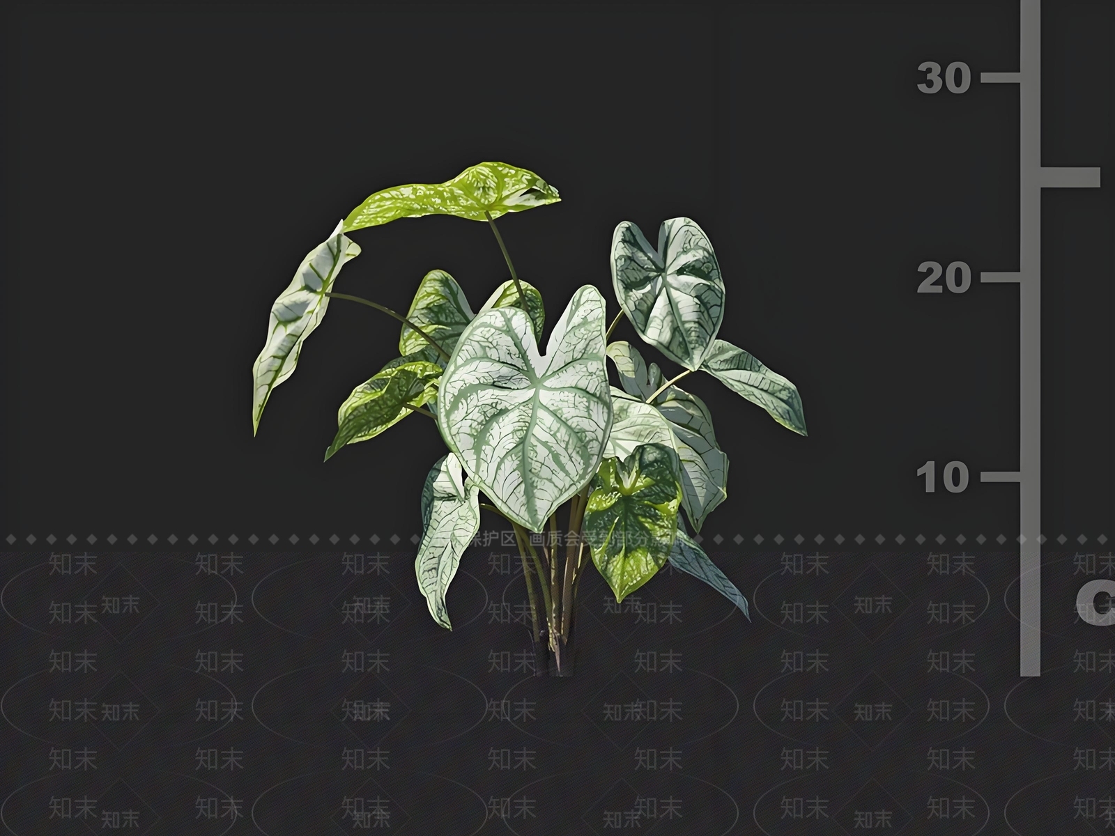 其他绿植3D模型下载【ID:1168548522】