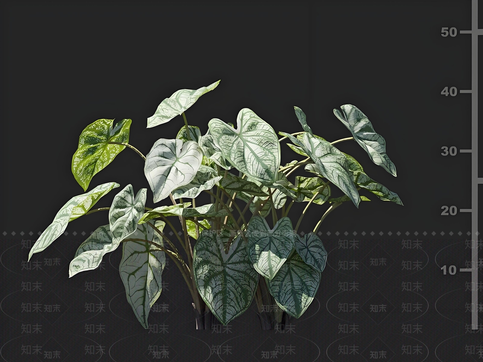 其他绿植3D模型下载【ID:1168549730】