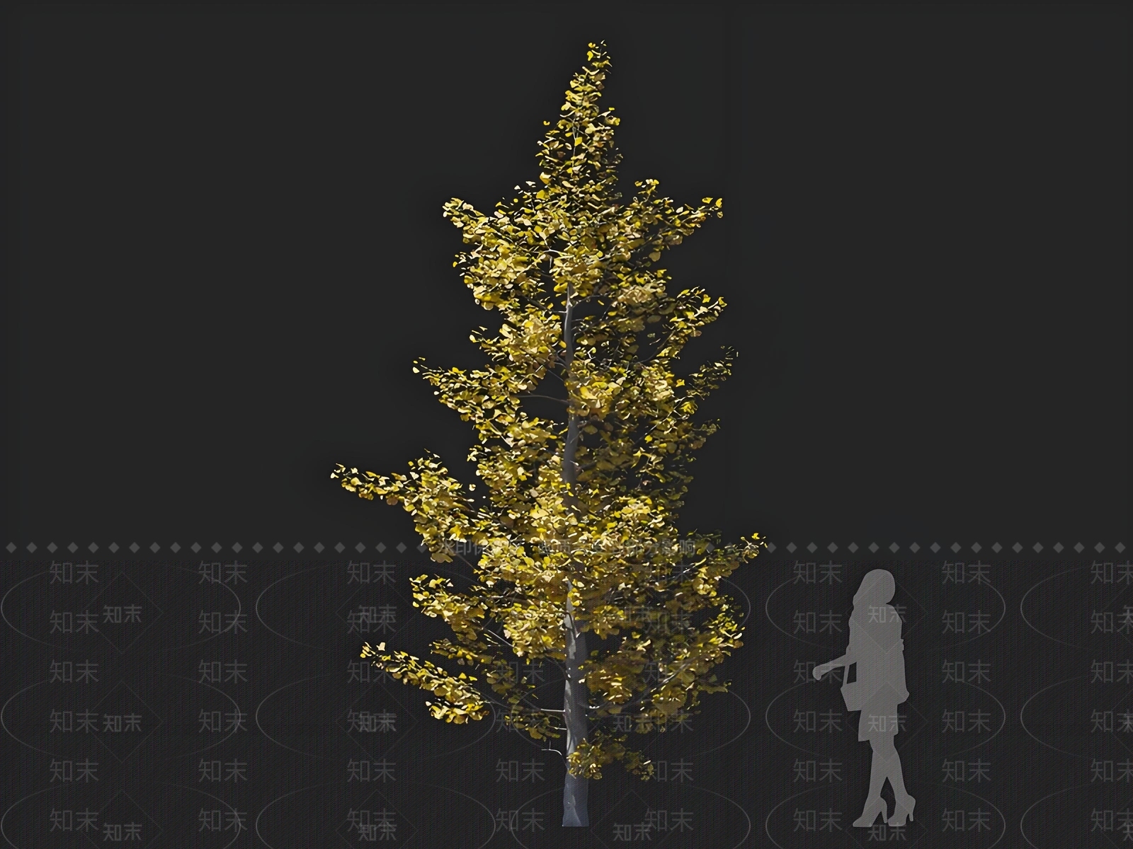 乔木3D模型下载【ID:1168553182】