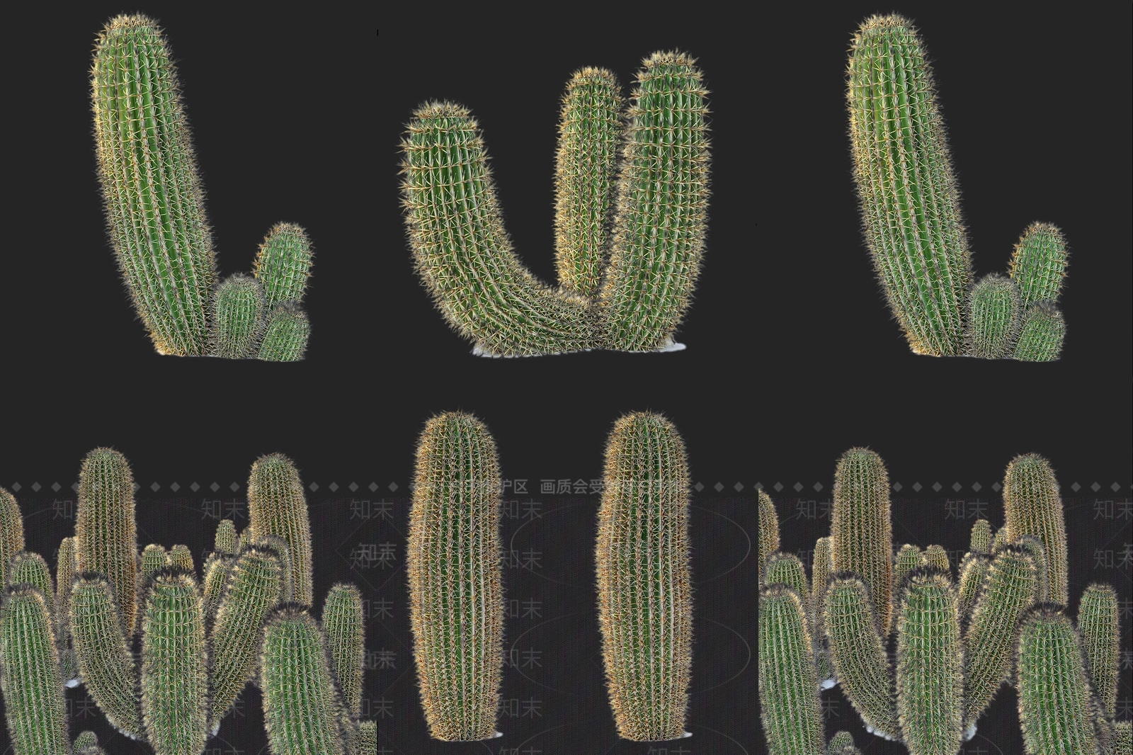 植物组合SU模型下载【ID:1168554051】