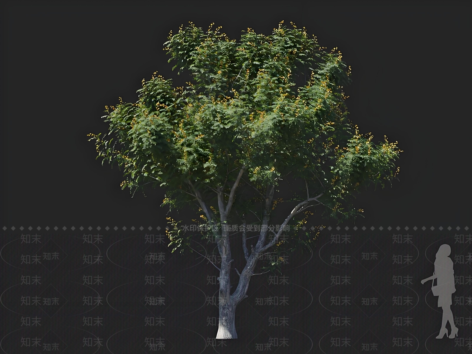 乔木3D模型下载【ID:1168583864】