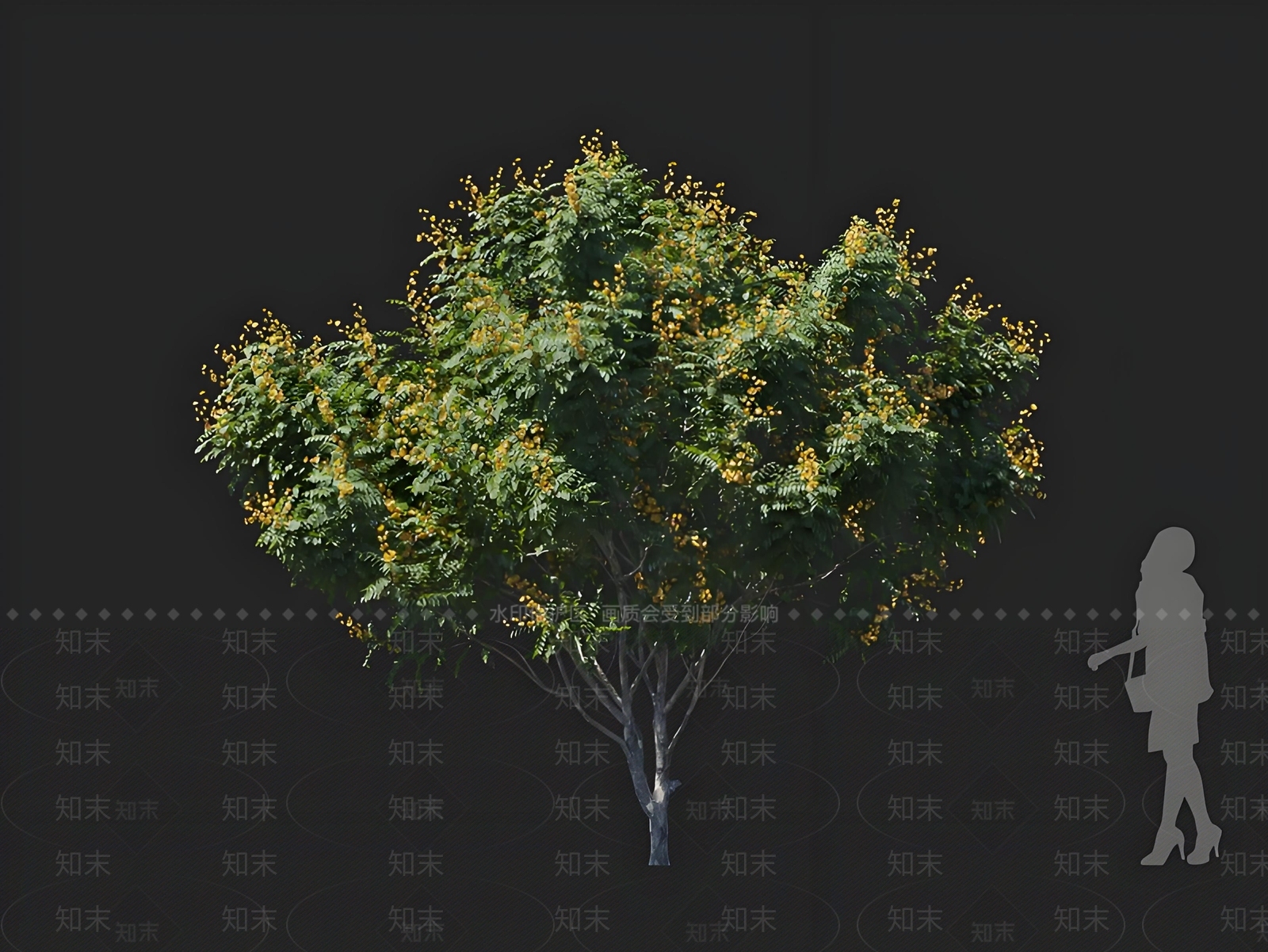 乔木3D模型下载【ID:1168583901】