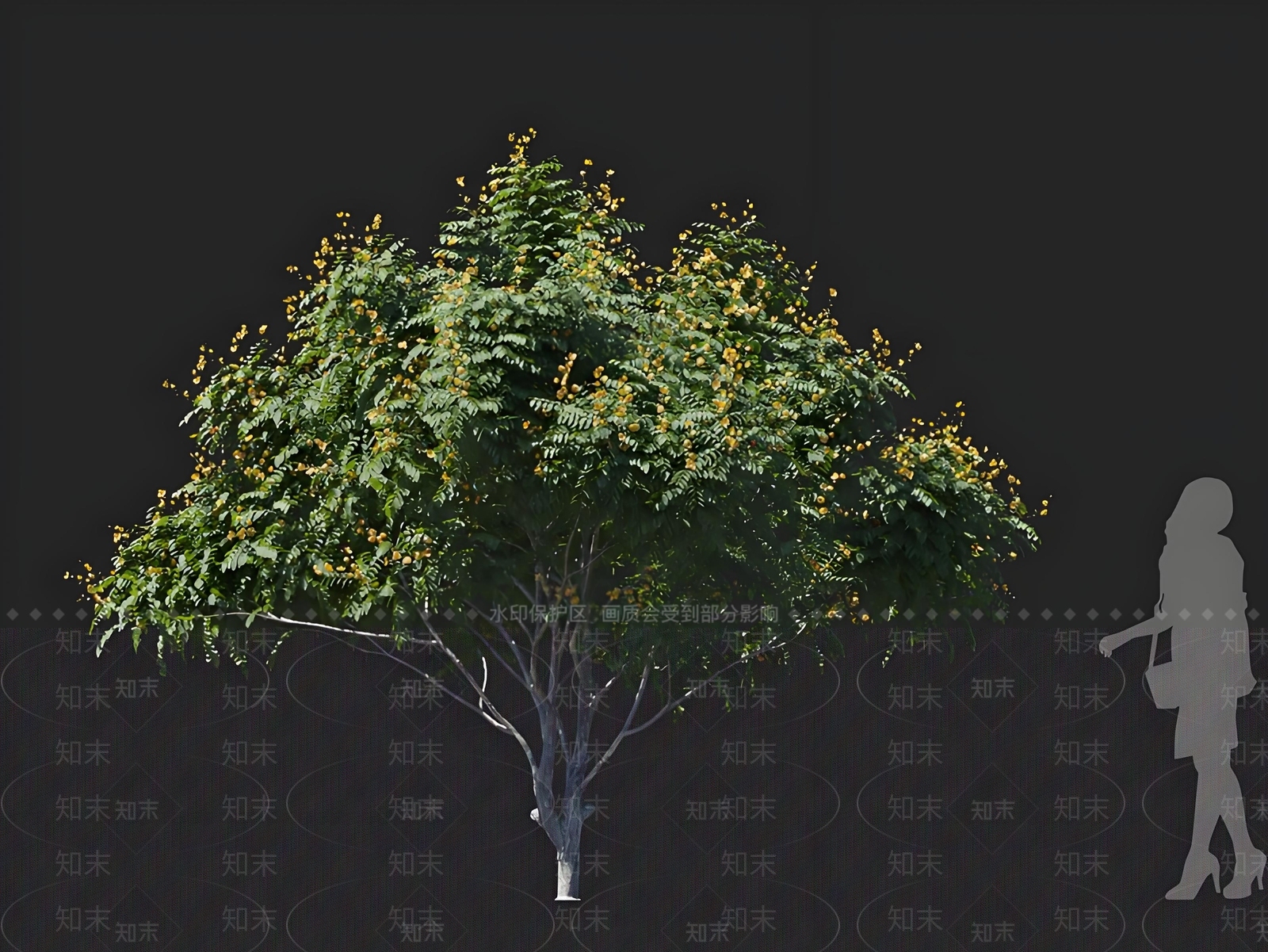 乔木3D模型下载【ID:1168583976】