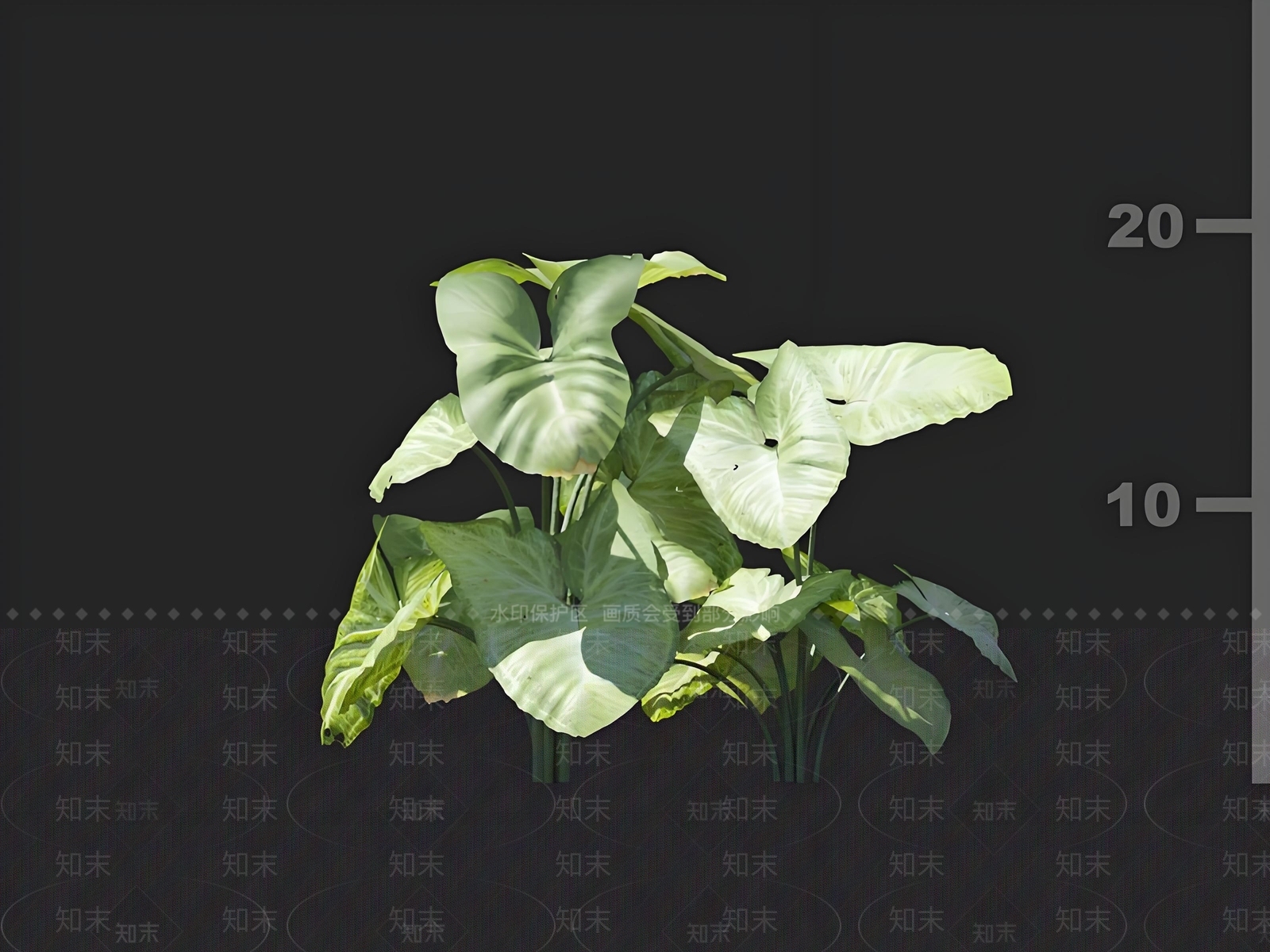 其他绿植3D模型下载【ID:1168585441】