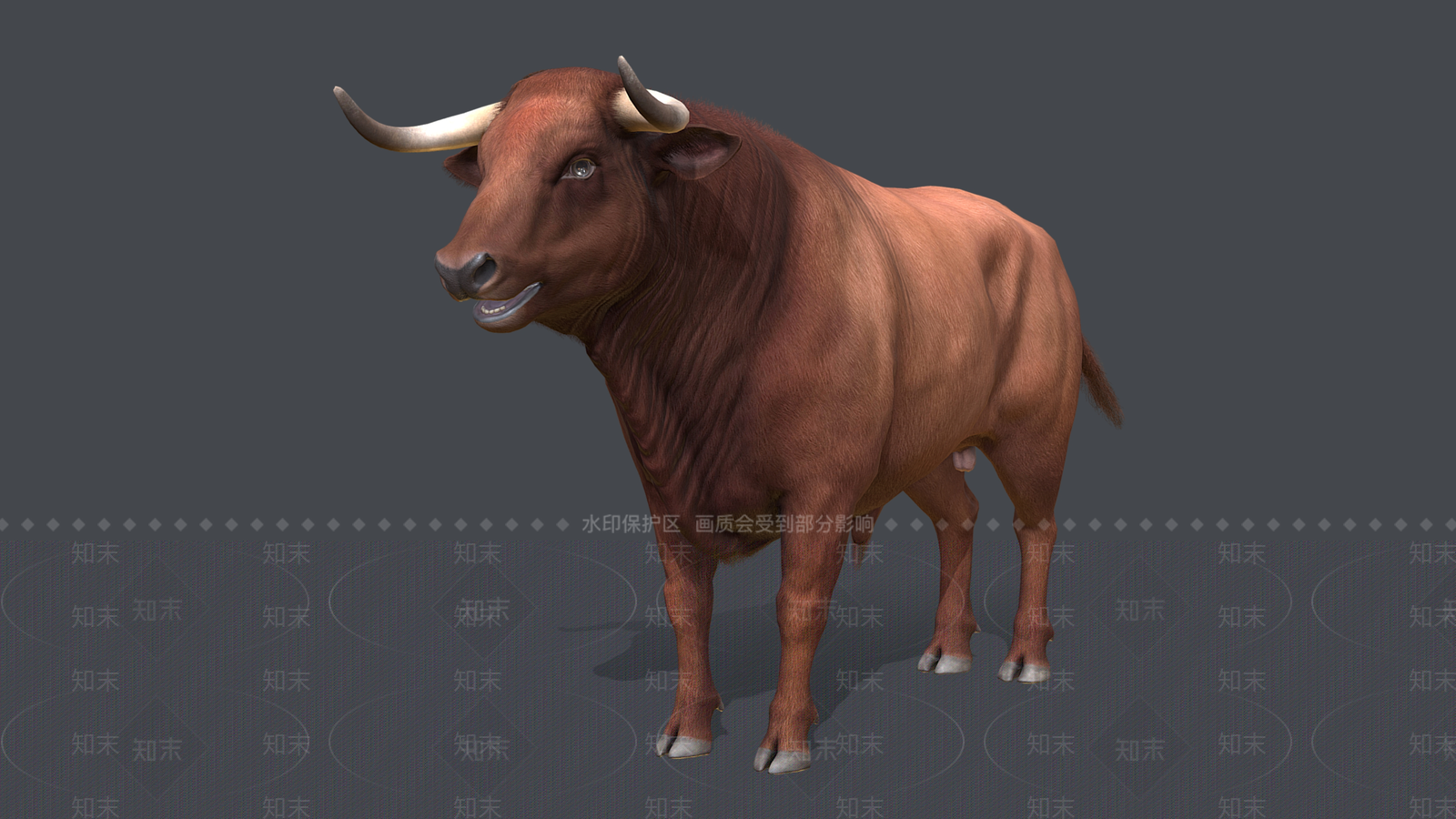 家禽类动物3D模型下载【ID:1168593859】