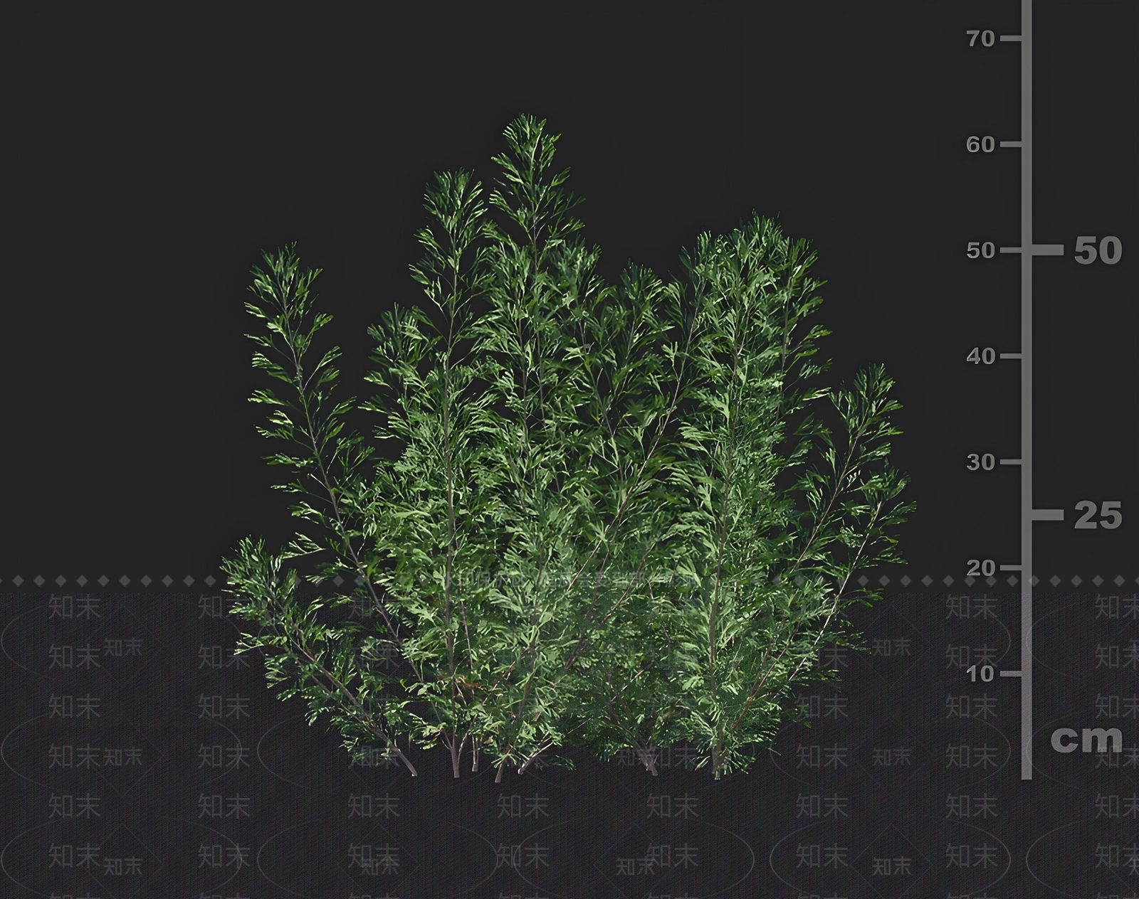 花草组合3D模型下载【ID:1168597138】