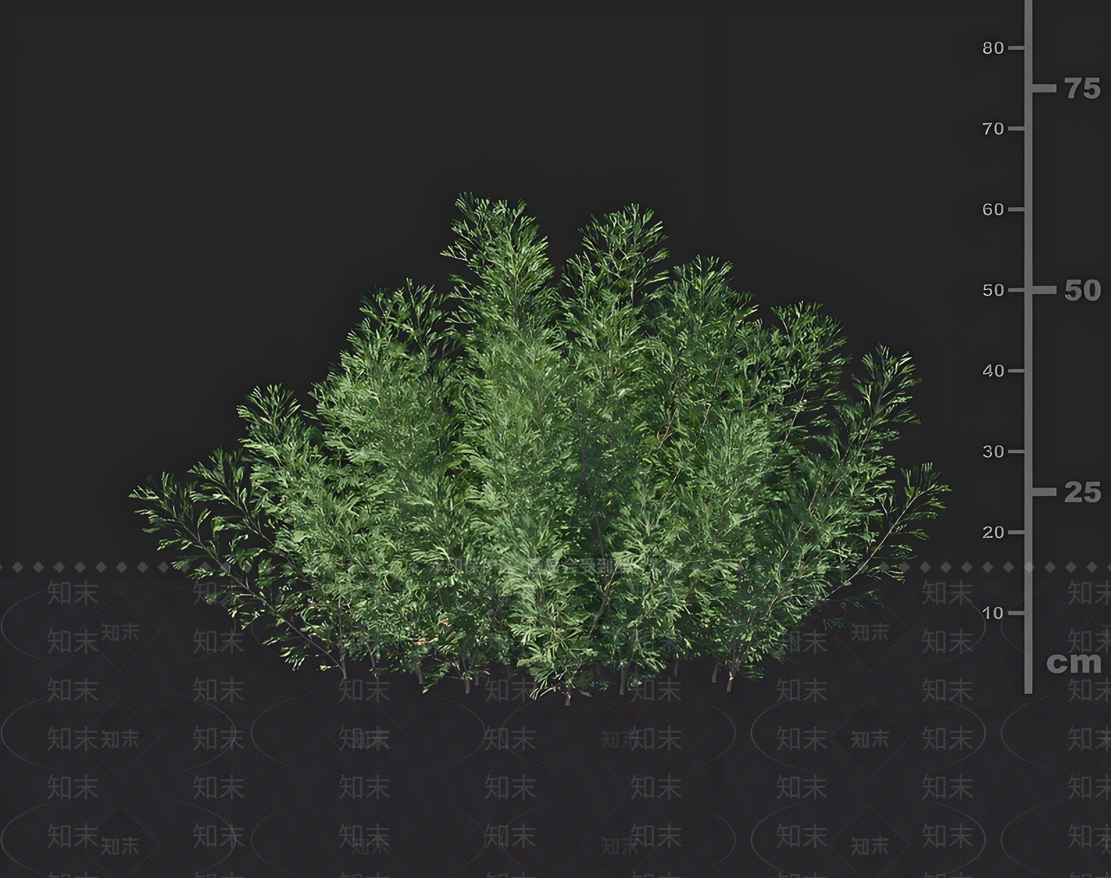 其他绿植3D模型下载【ID:1168597342】
