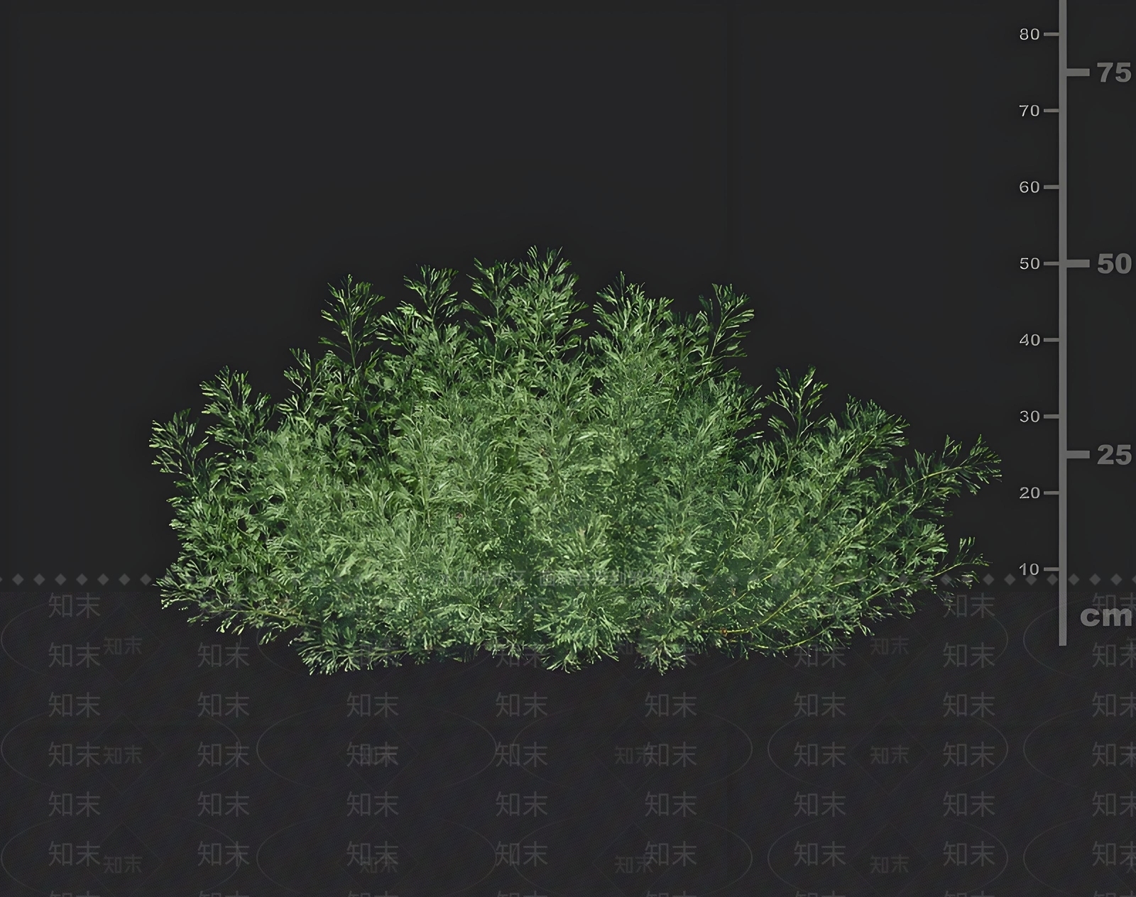 其他绿植3D模型下载【ID:1168597833】