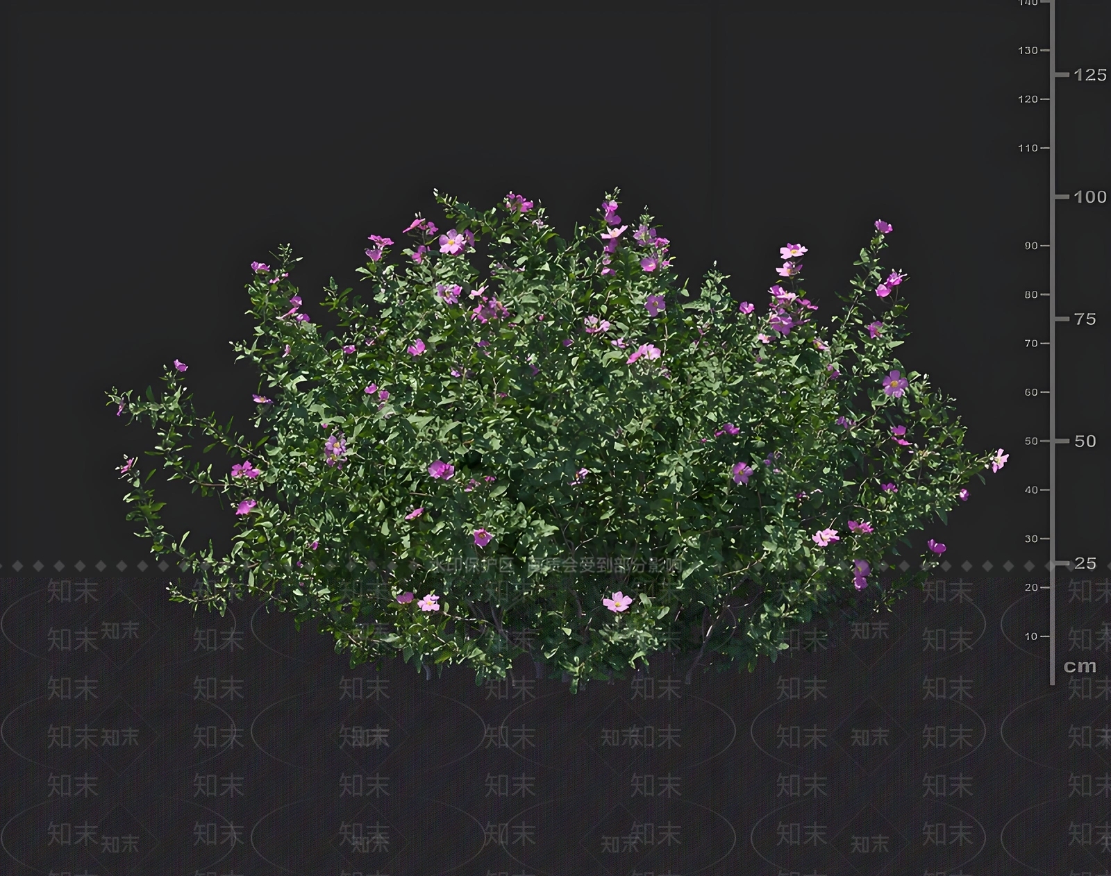 其他绿植3D模型下载【ID:1168599091】