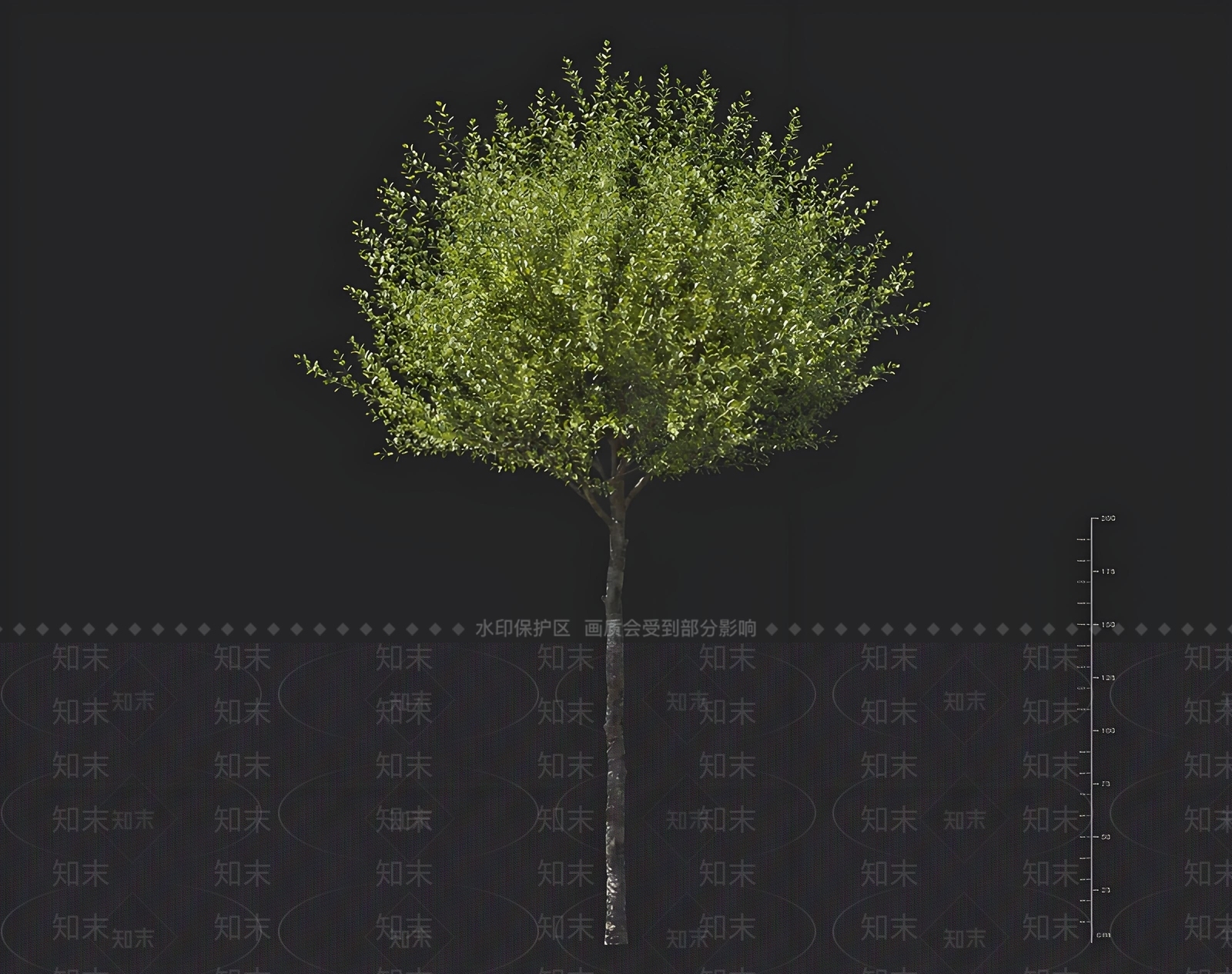景观树3D模型下载【ID:1168604614】