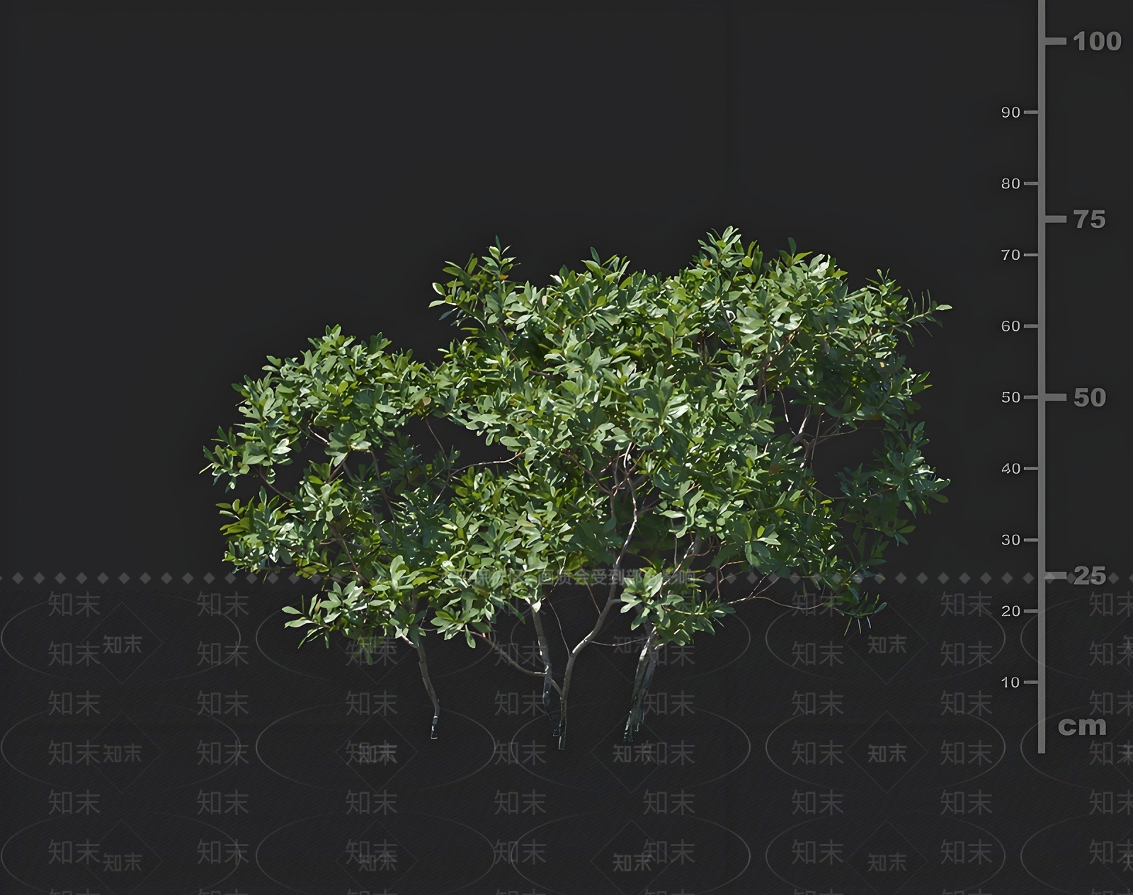 景观树3D模型下载【ID:1168605927】