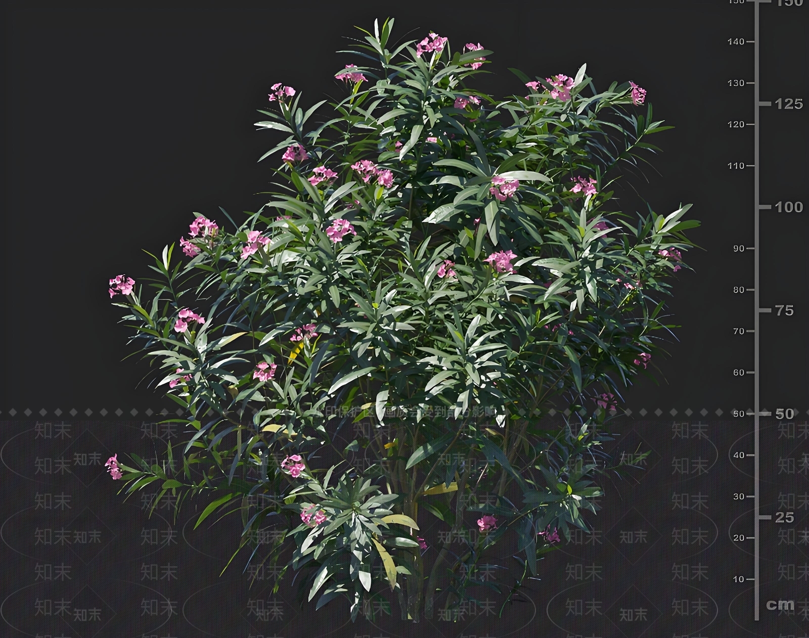 灌木3D模型下载【ID:1168606057】
