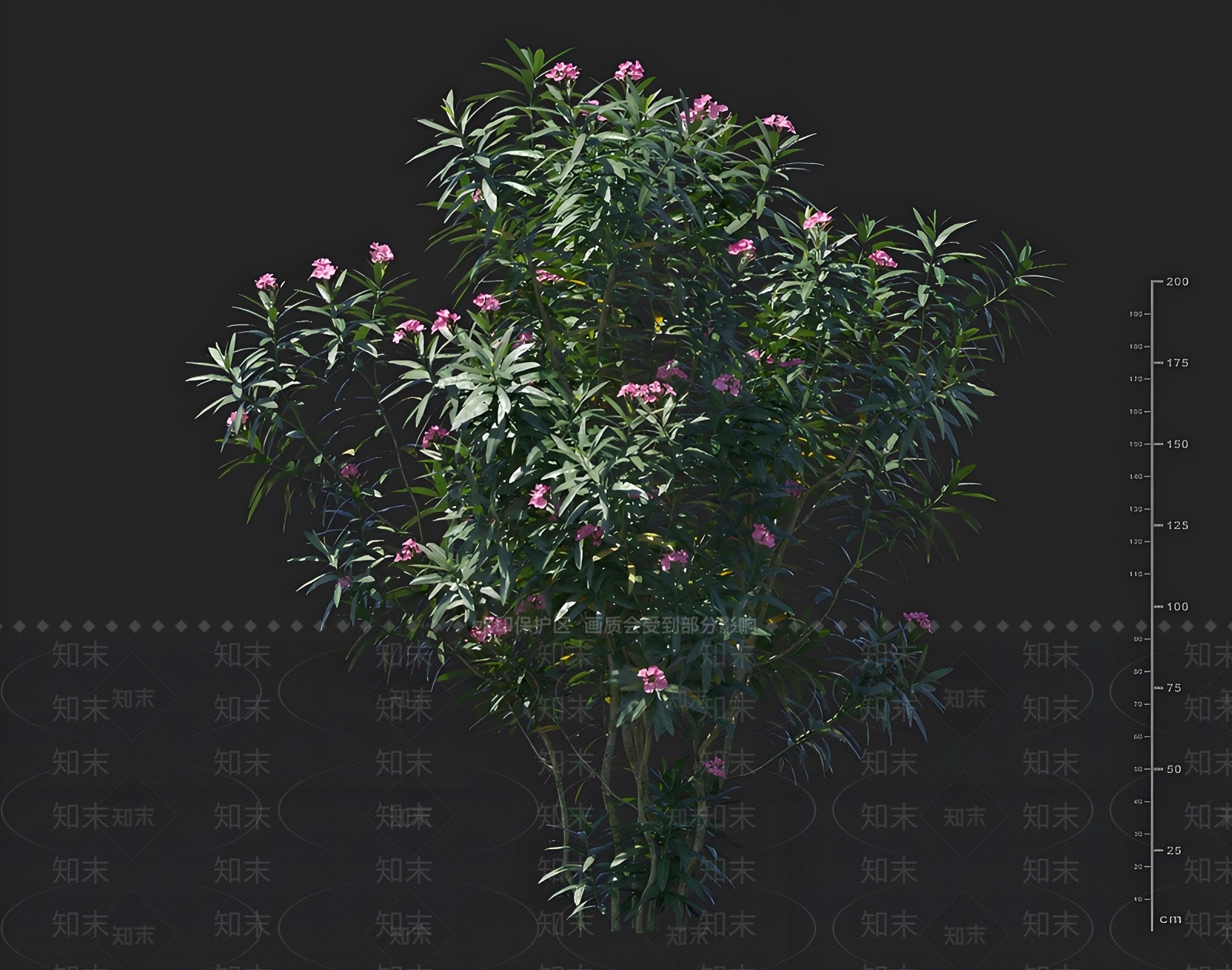 景观树3D模型下载【ID:1168606311】
