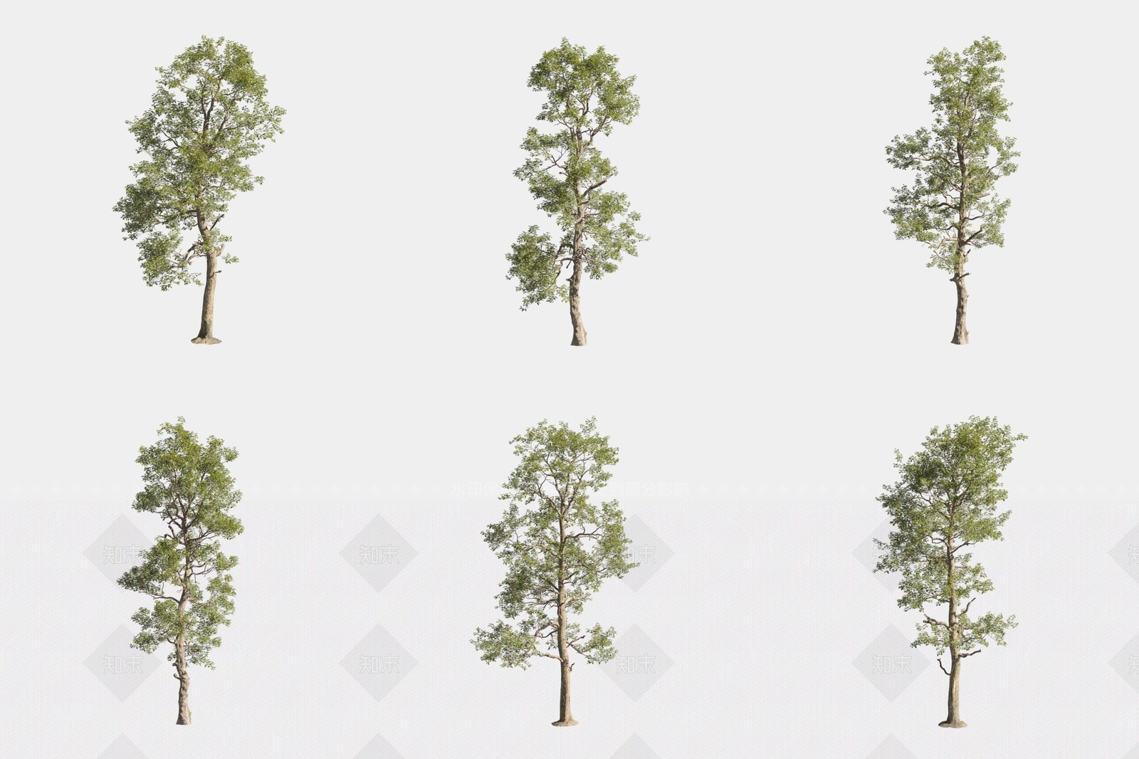 景观树3D模型下载【ID:1168613126】