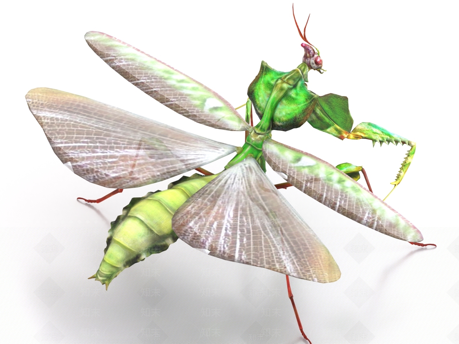 飞行类动物3D模型下载【ID:1168633974】