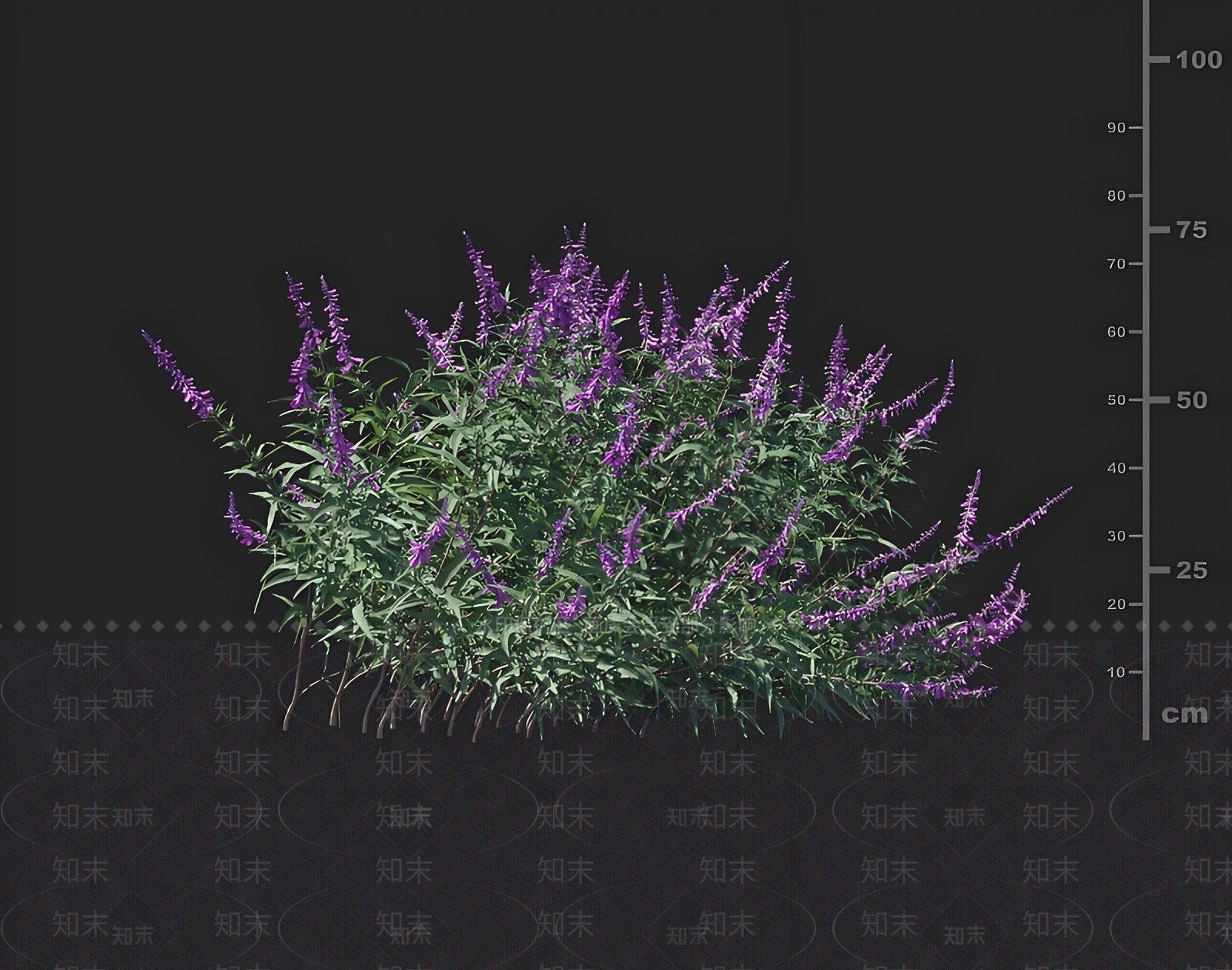 花草组合3D模型下载【ID:1168635264】