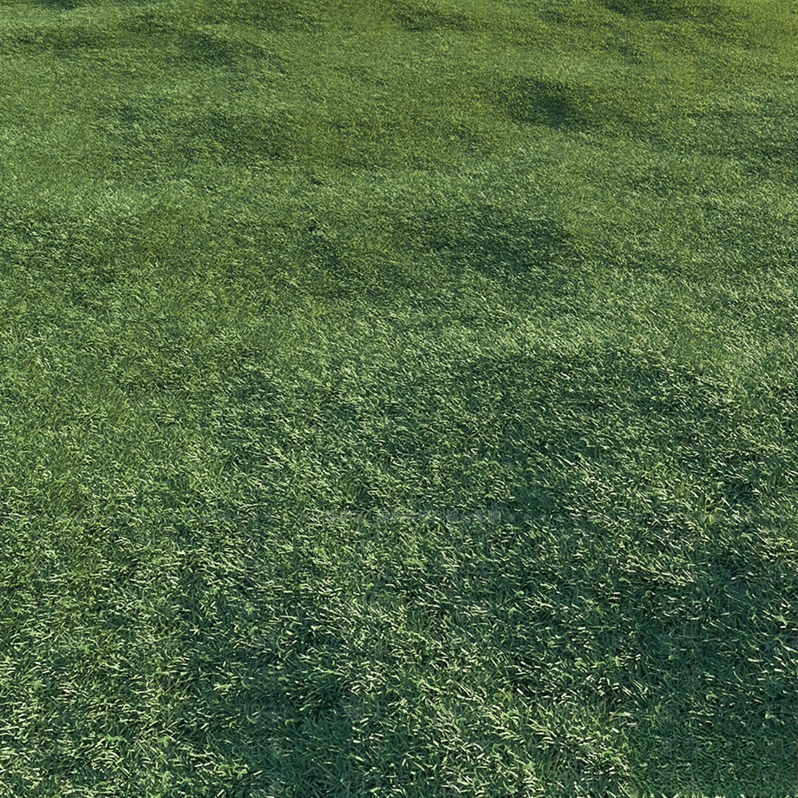 草坪3D模型下载【ID:1168652726】
