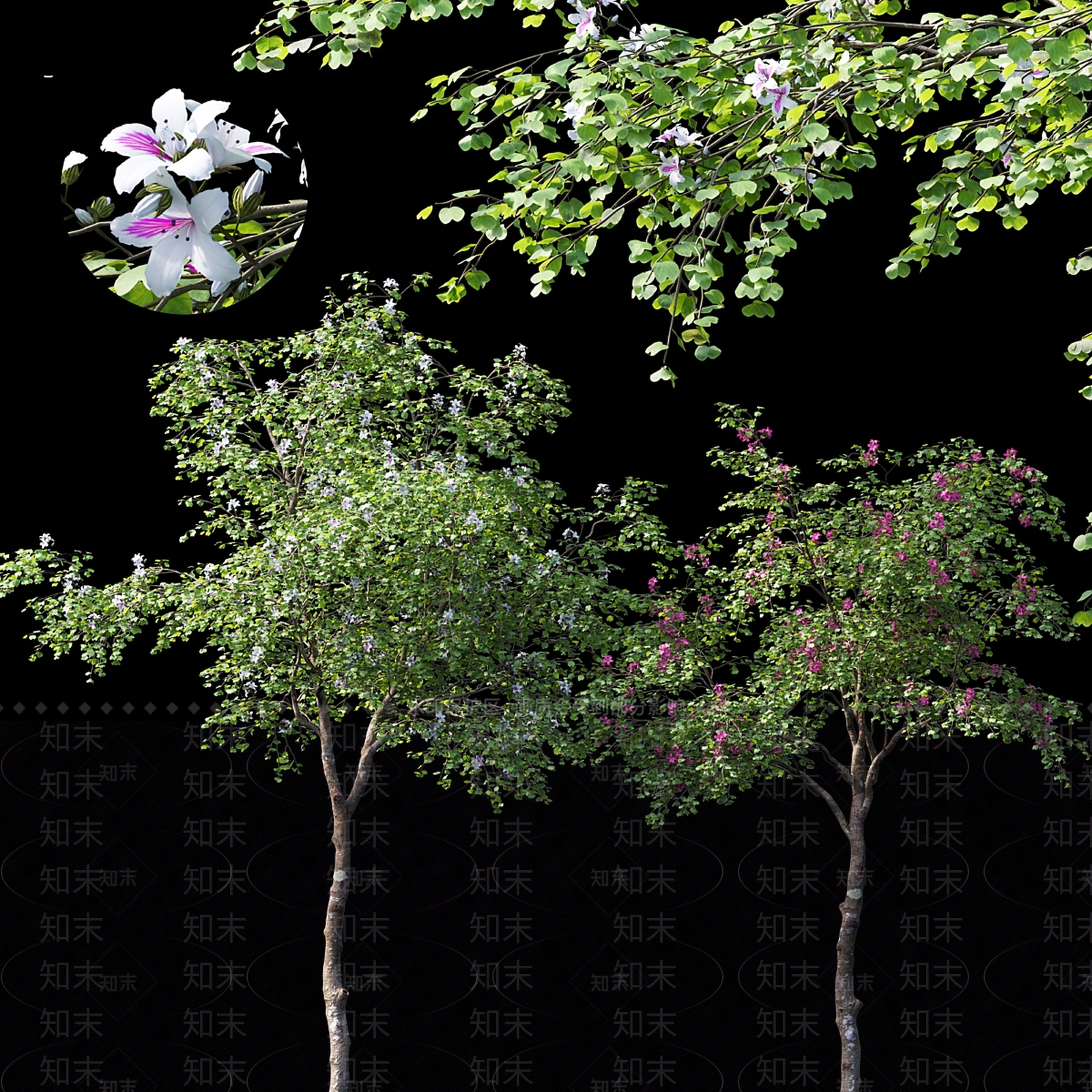 乔木3D模型下载【ID:1168659150】
