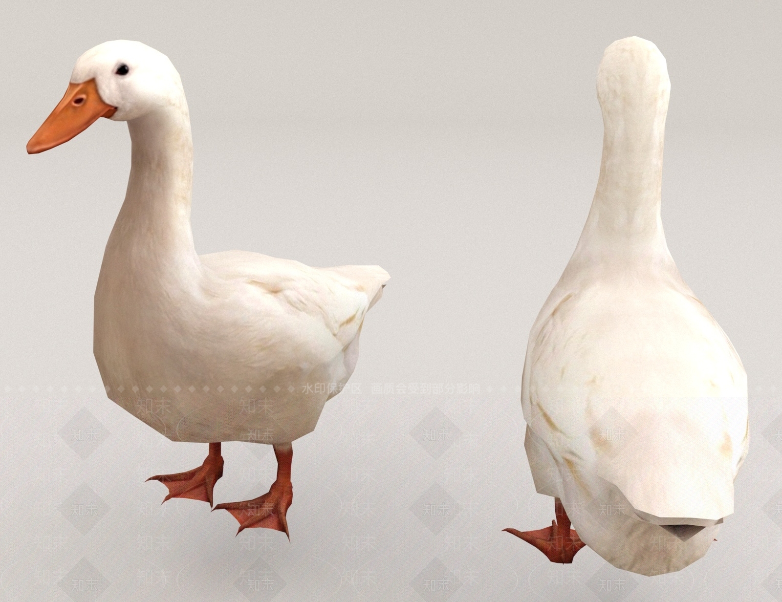 家禽类动物3D模型下载【ID:1168662763】