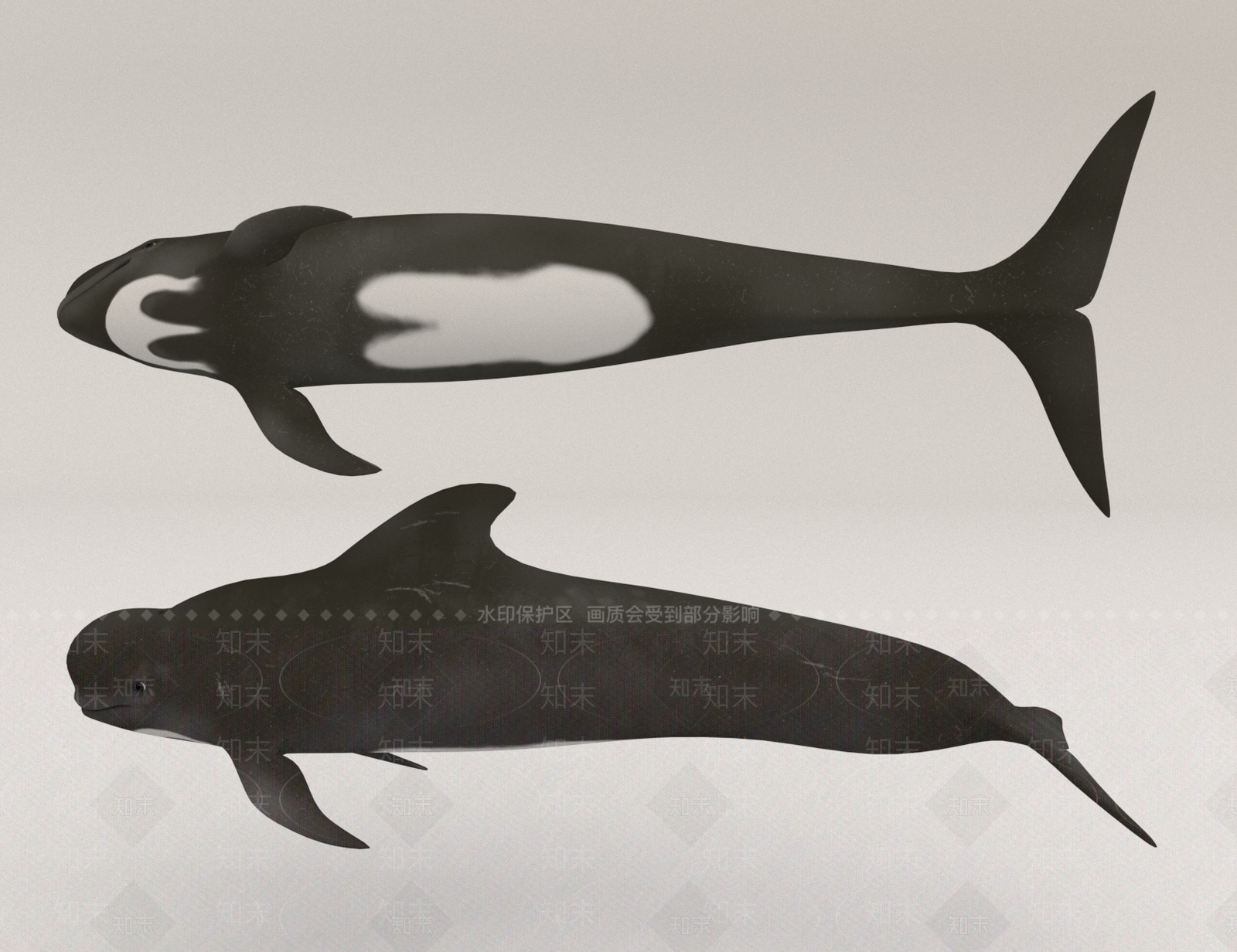 水生类动物3D模型下载【ID:1168663830】