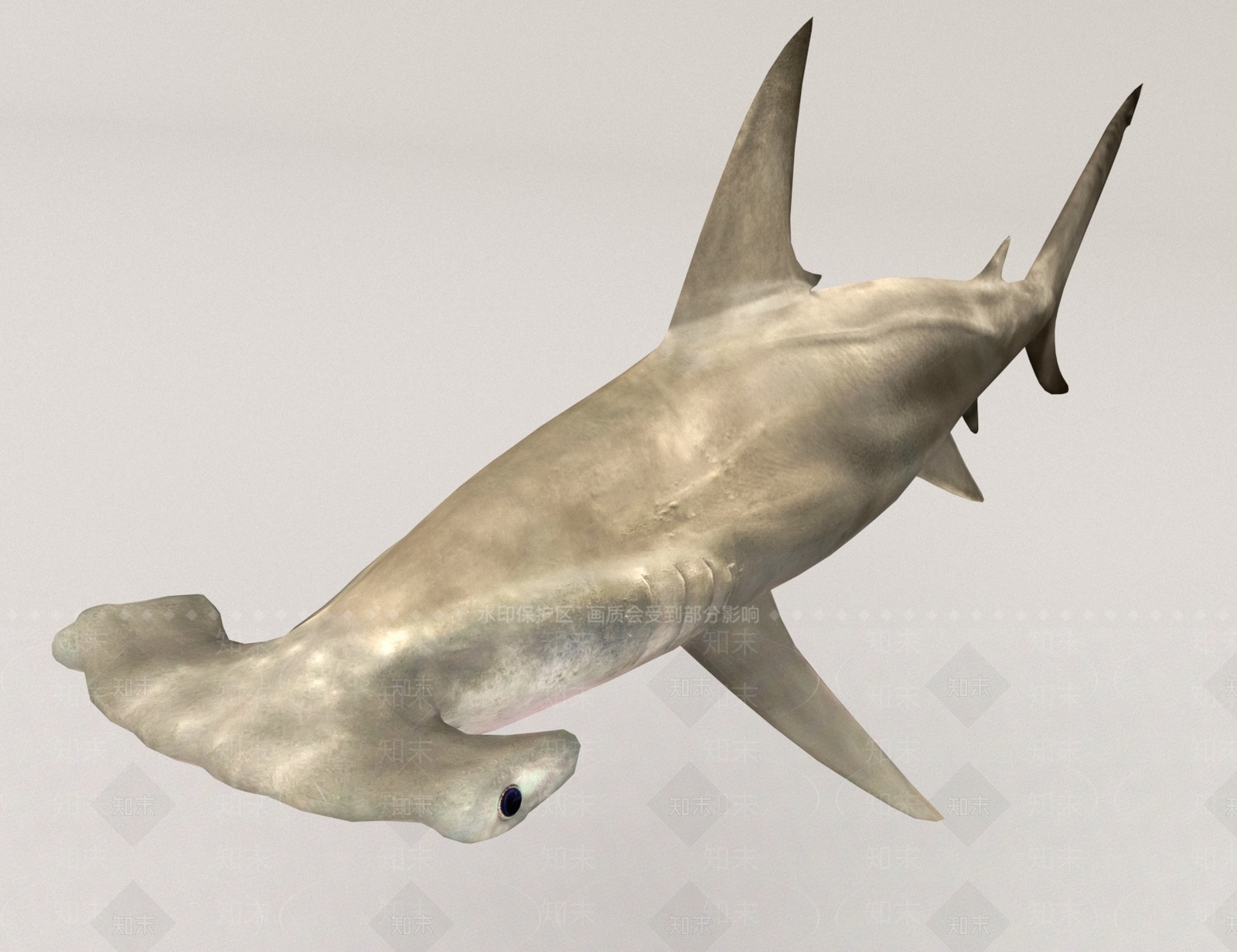 水生类动物3D模型下载【ID:1168665093】