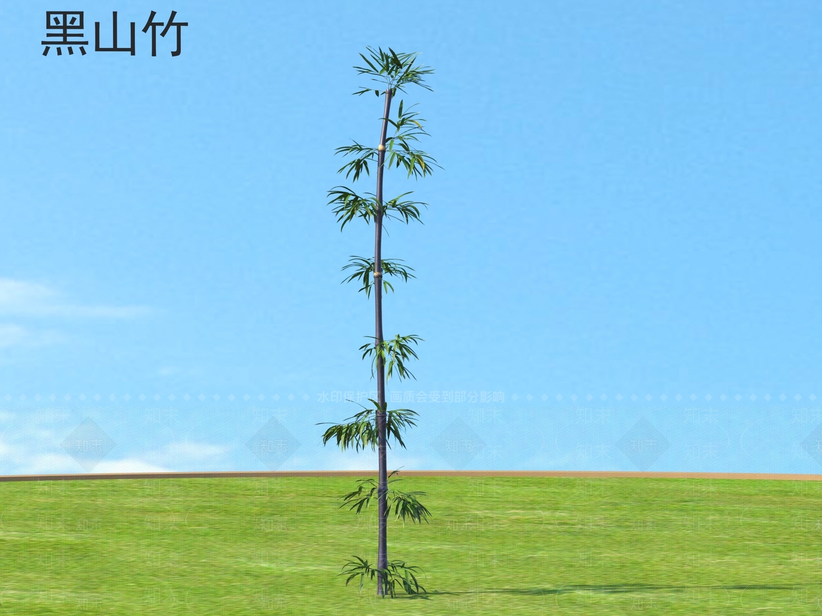 竹子3D模型下载【ID:1168682228】