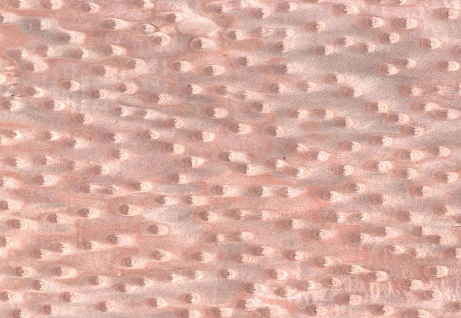 现代其他木材贴图下载【ID:1168700095】