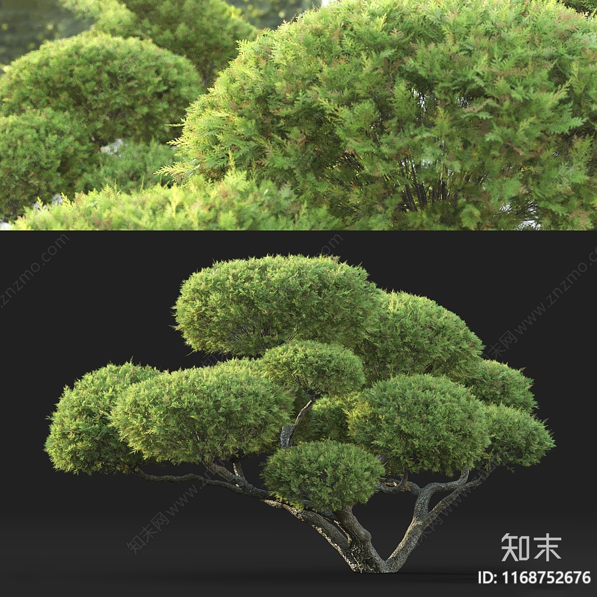 乔木3D模型下载【ID:1168752676】