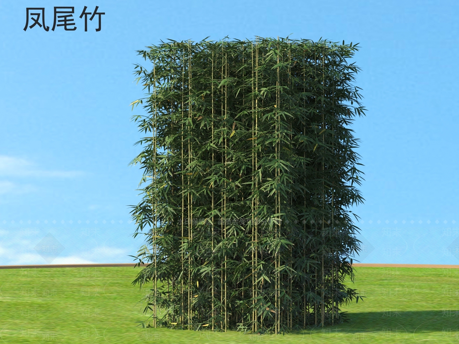 竹子3D模型下载【ID:1168795938】