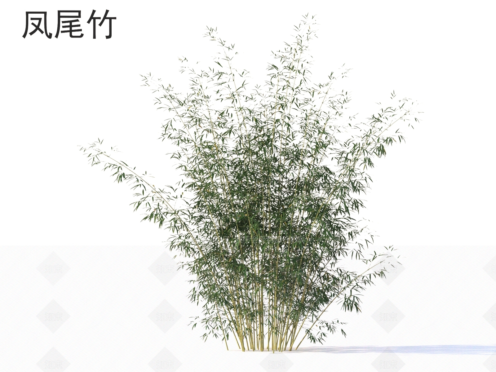 竹子3D模型下载【ID:1168795979】