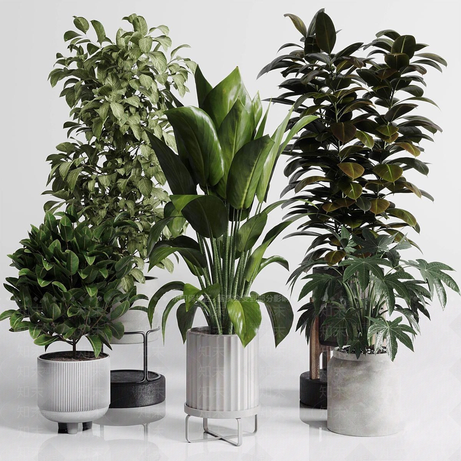 盆栽3D模型下载【ID:1168821877】