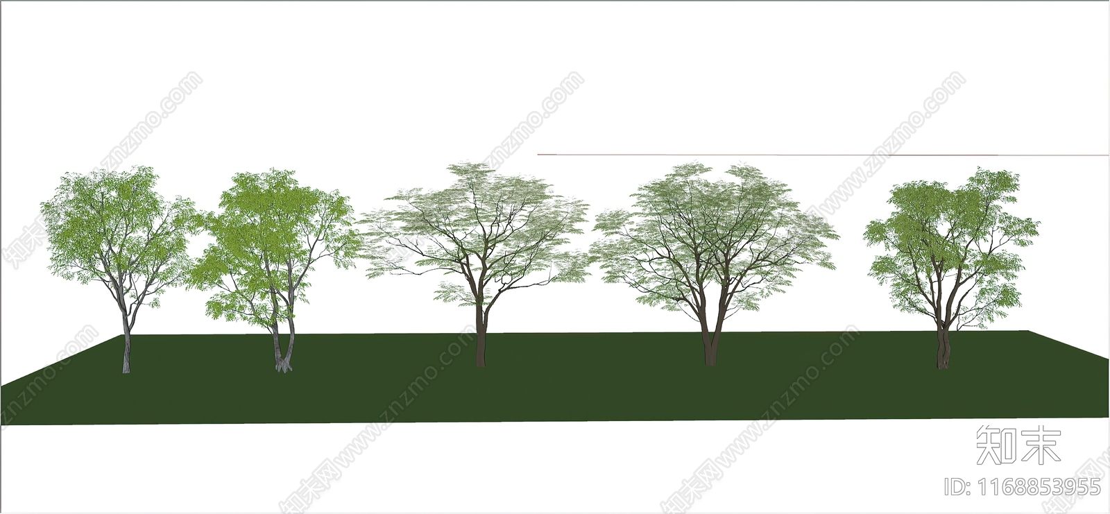 乔木SU模型下载【ID:1168853955】