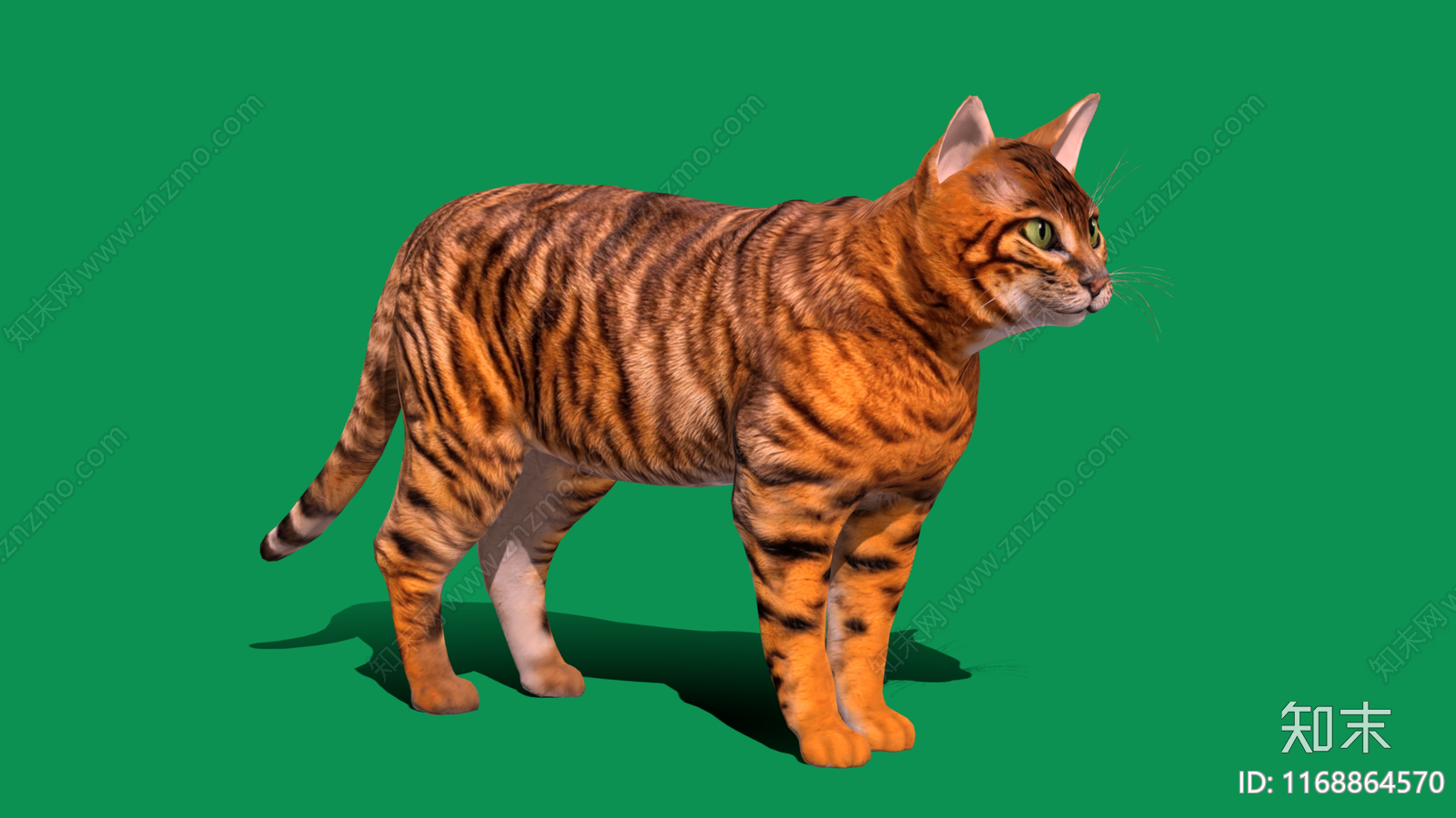 猫3D模型下载【ID:1168864570】