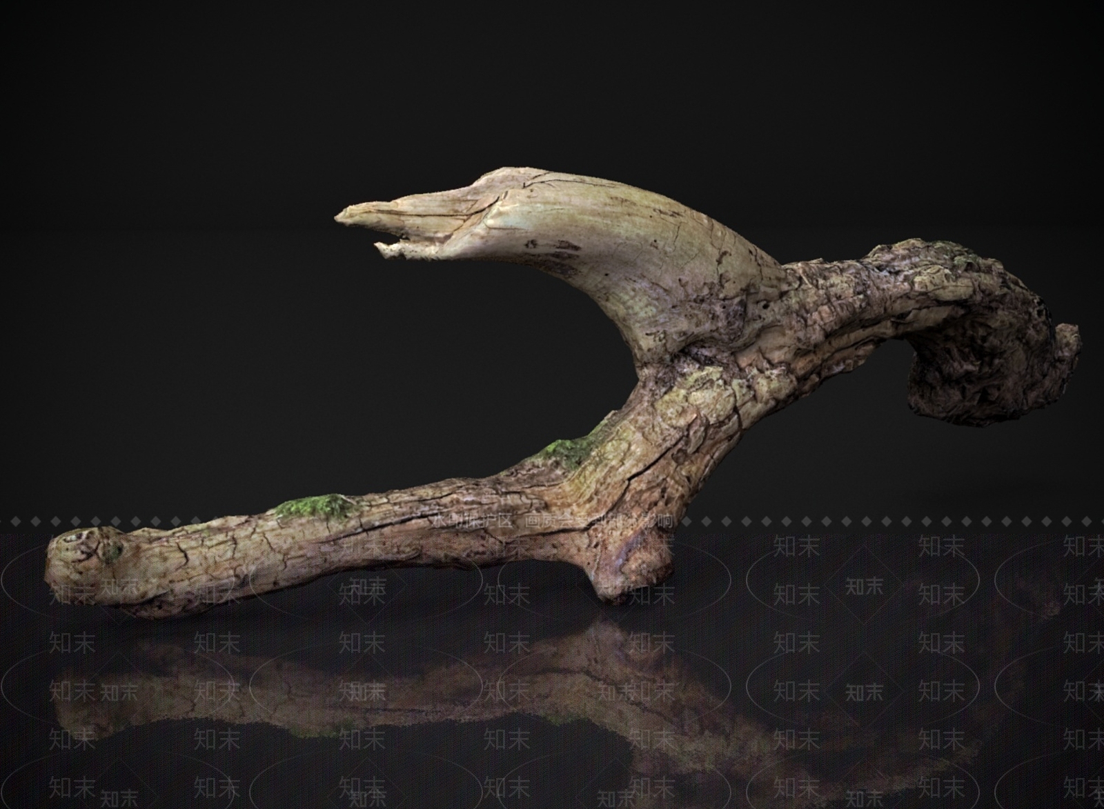 其他树木3D模型下载【ID:1168871465】
