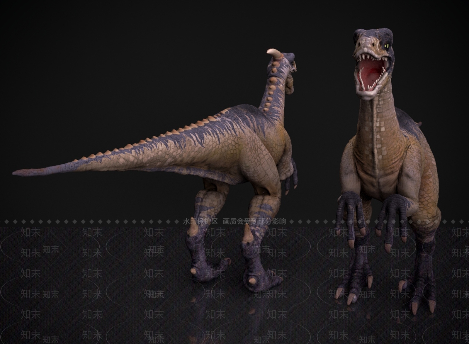 其他动物3D模型下载【ID:1168872031】