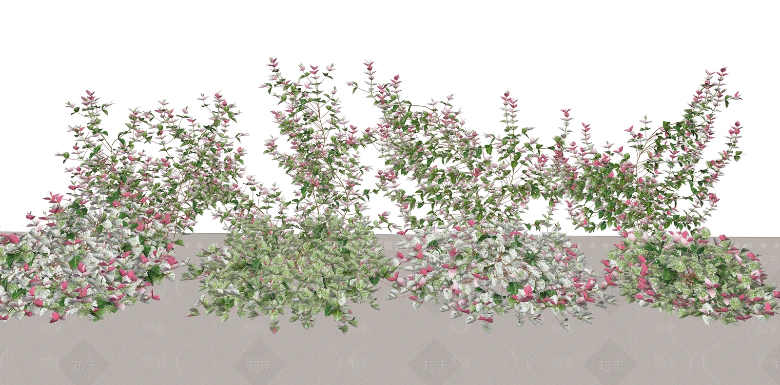 藤蔓SU模型下载【ID:1168899276】