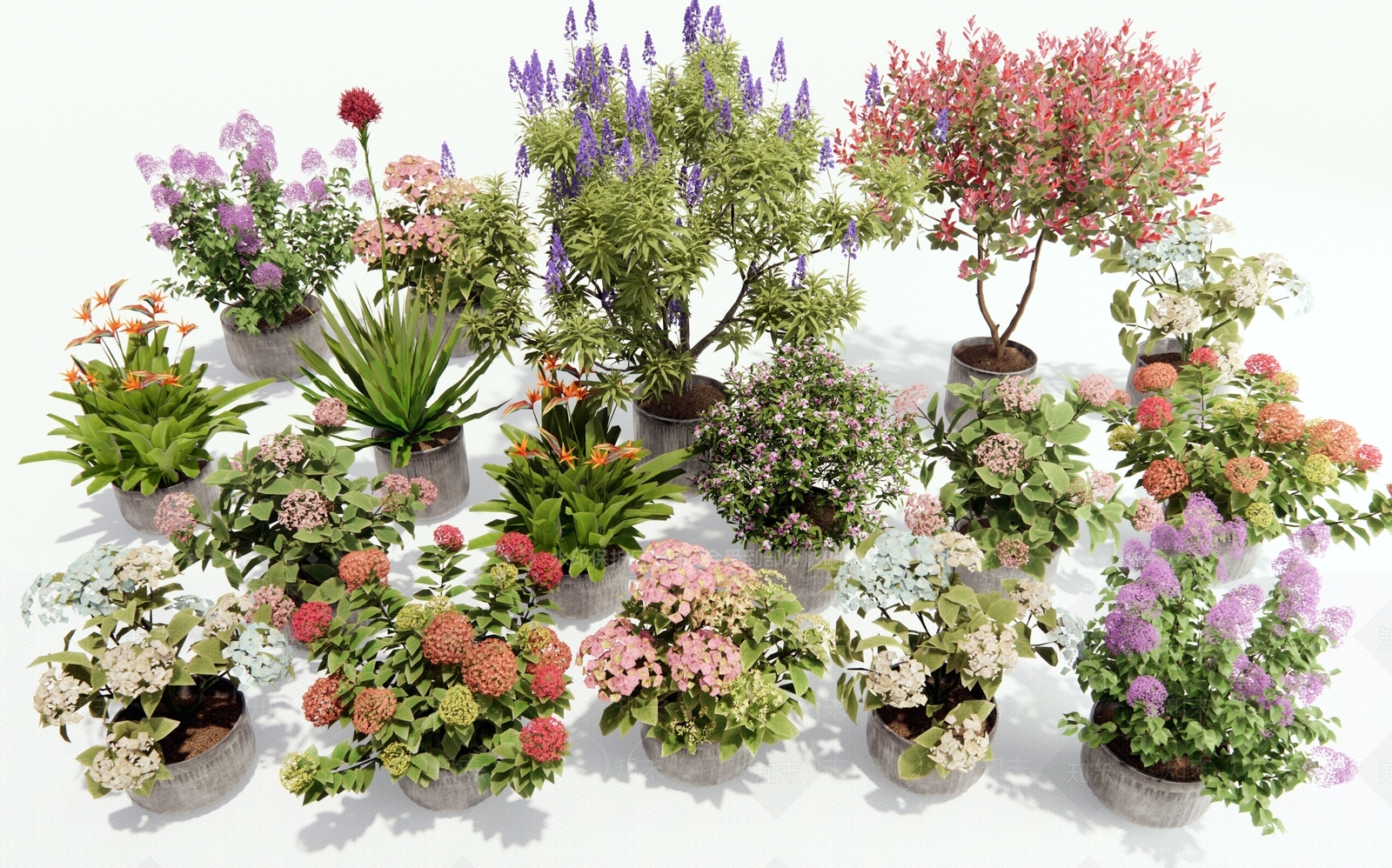 盆栽SU模型下载【ID:1168982466】