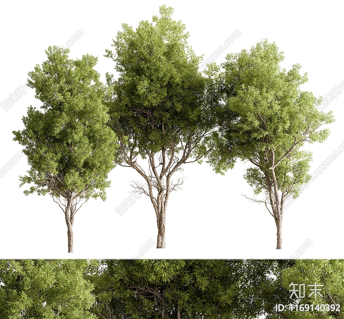 景观树3D模型下载【ID:1169140392】