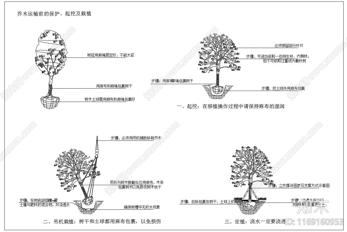 现代植物配置图库cad施工图下载【ID:1169160953】