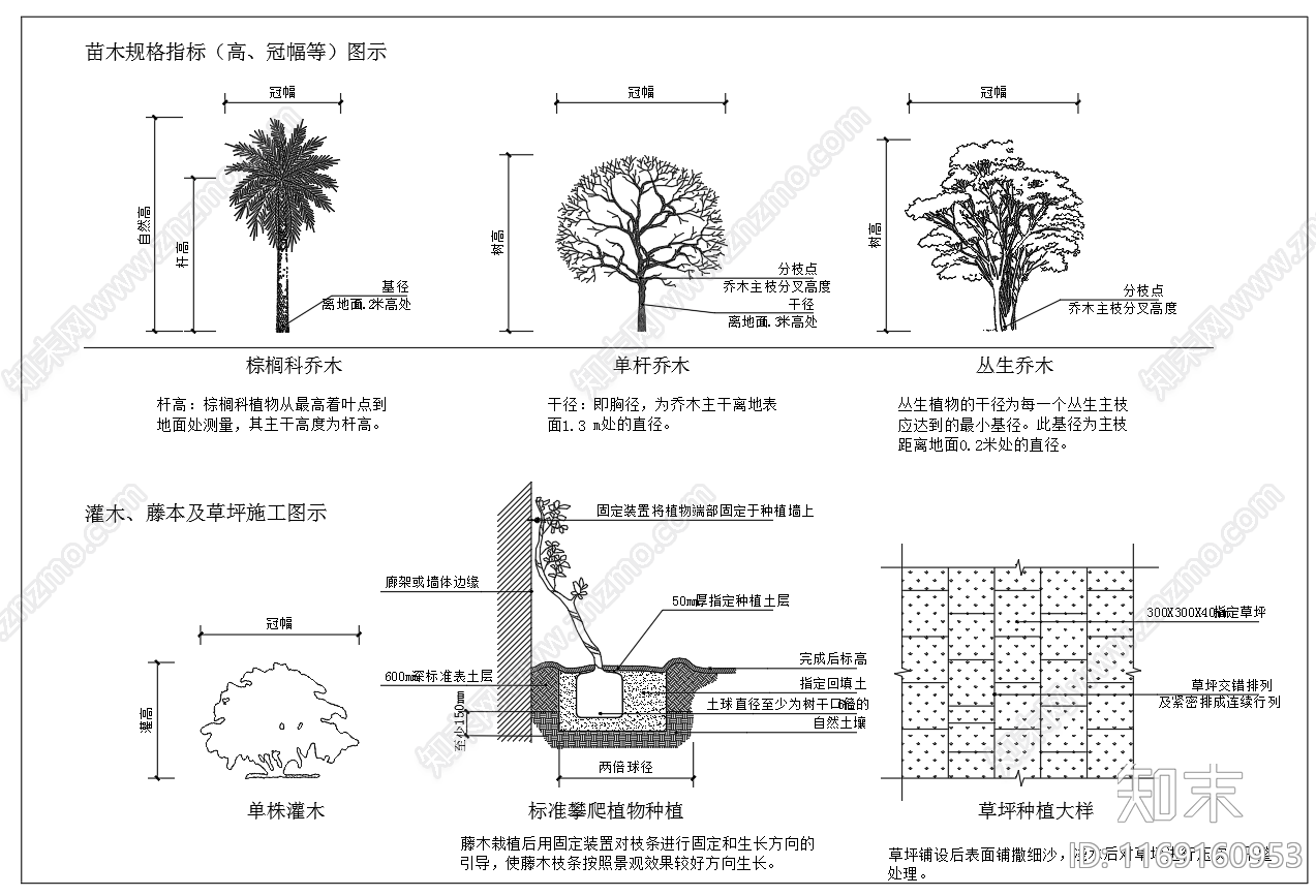 现代植物配置图库cad施工图下载【ID:1169160953】