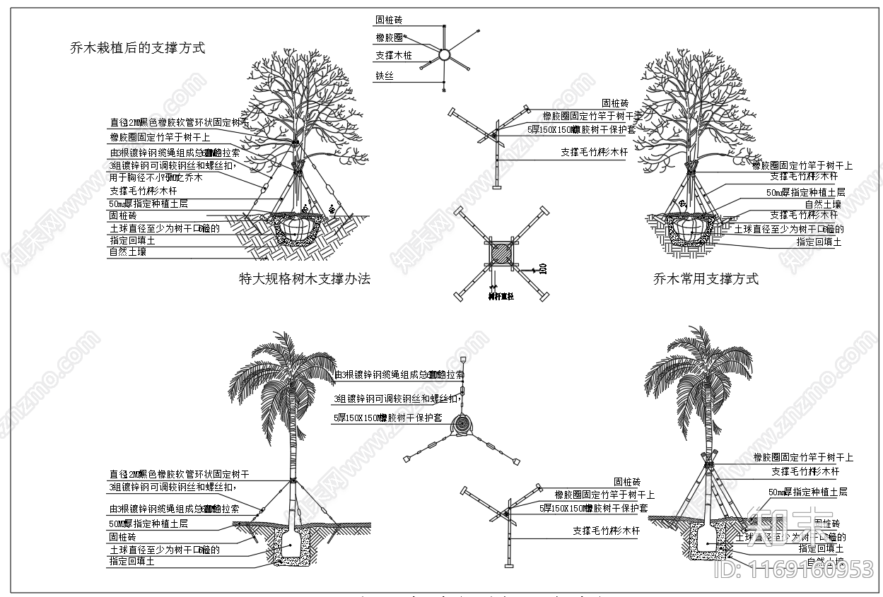 现代植物配置图库cad施工图下载【ID:1169160953】
