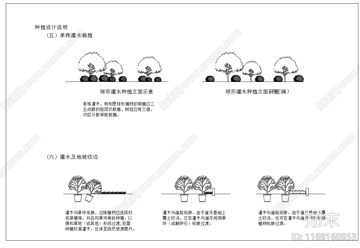 现代植物配置图库cad施工图下载【ID:1169160953】