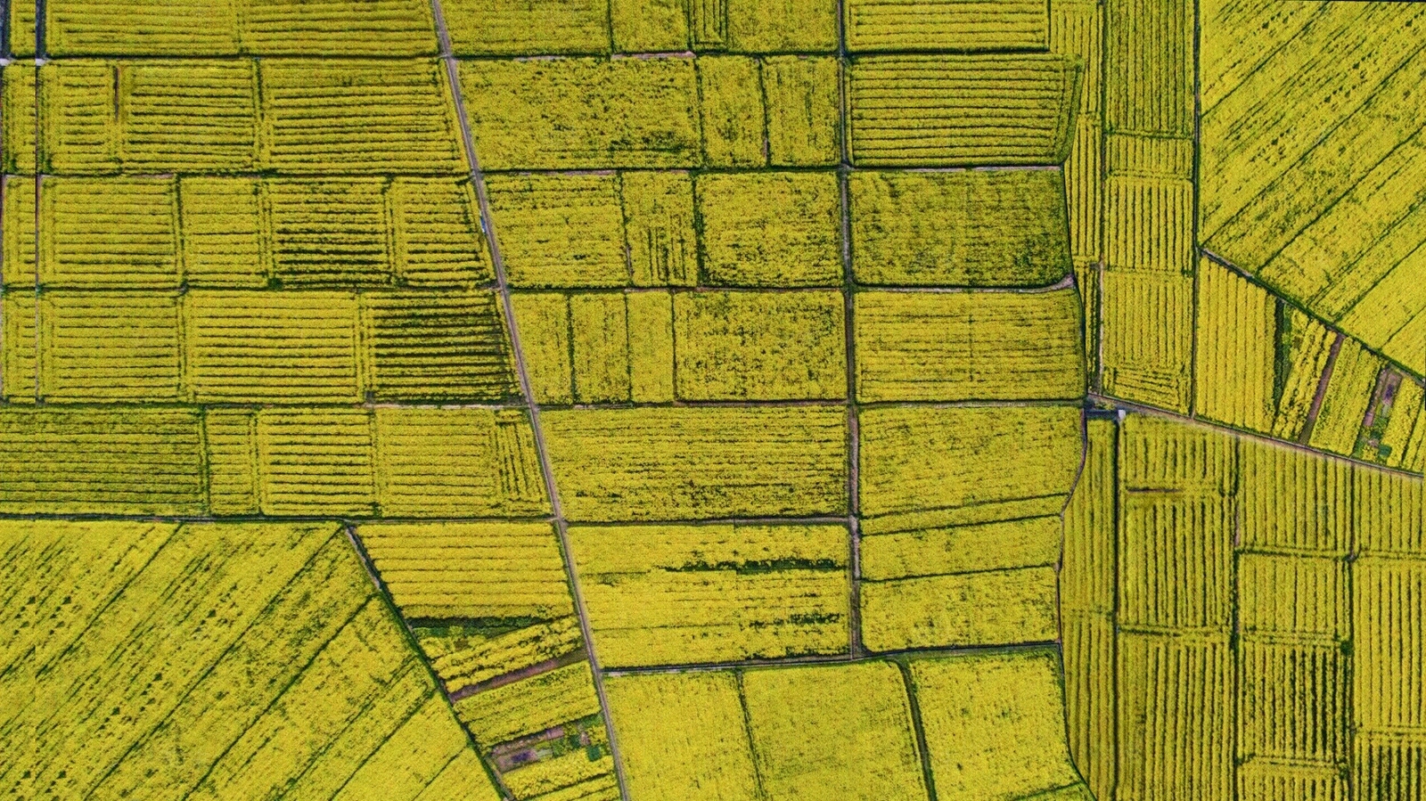 现代自然地面贴图下载【ID:1169176552】