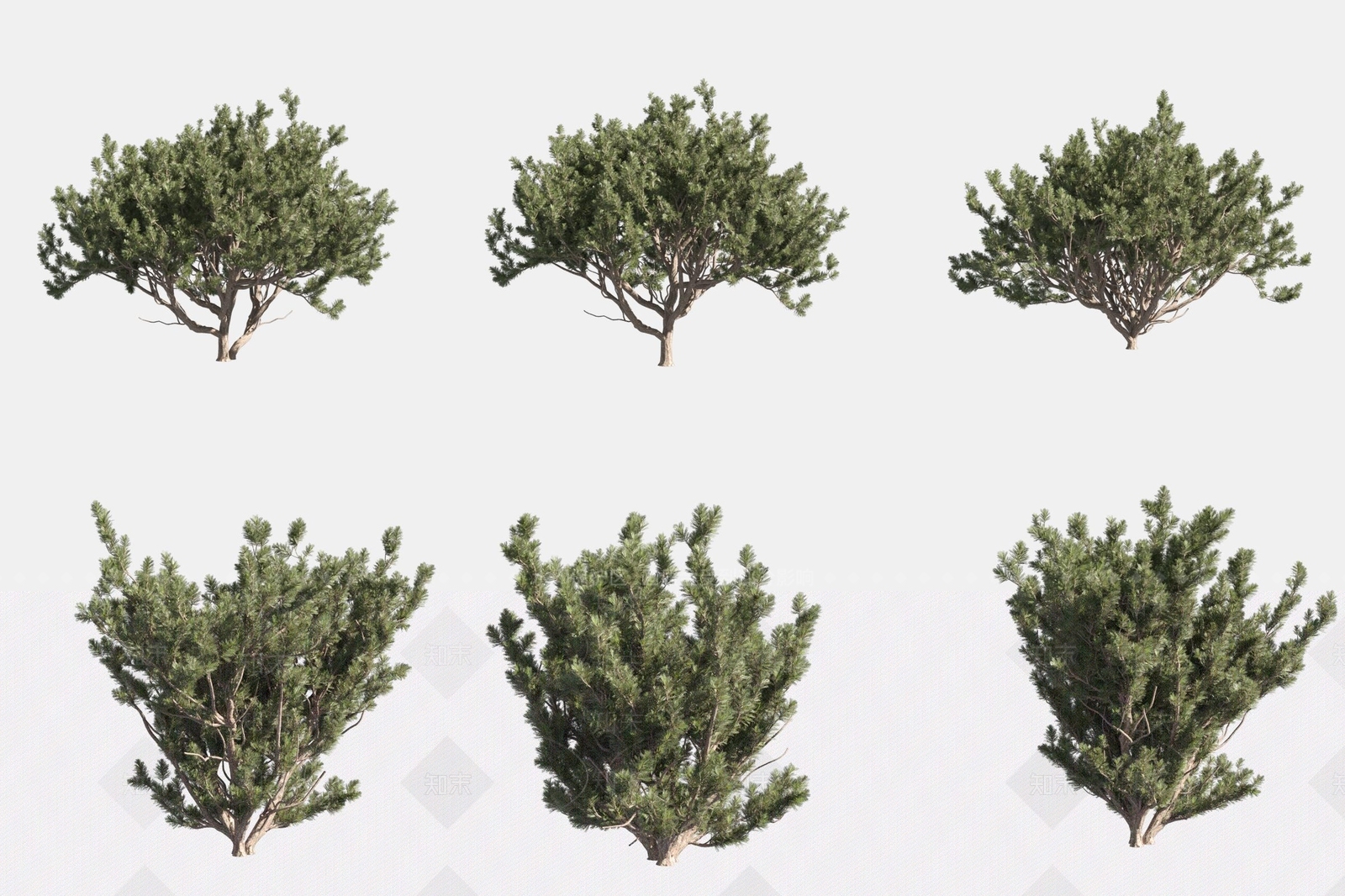 景观树3D模型下载【ID:1169177838】