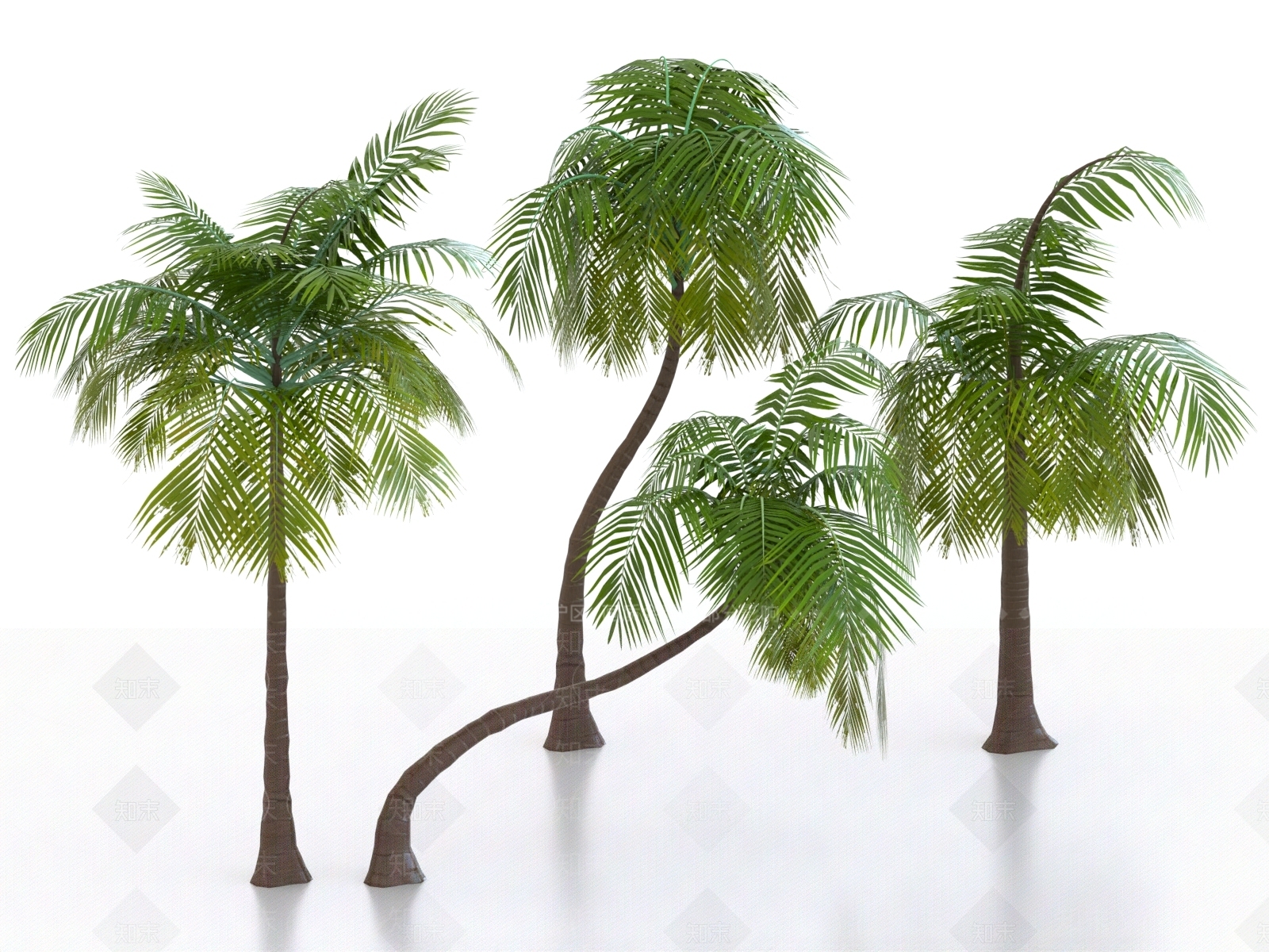 景观树3D模型下载【ID:1169178965】