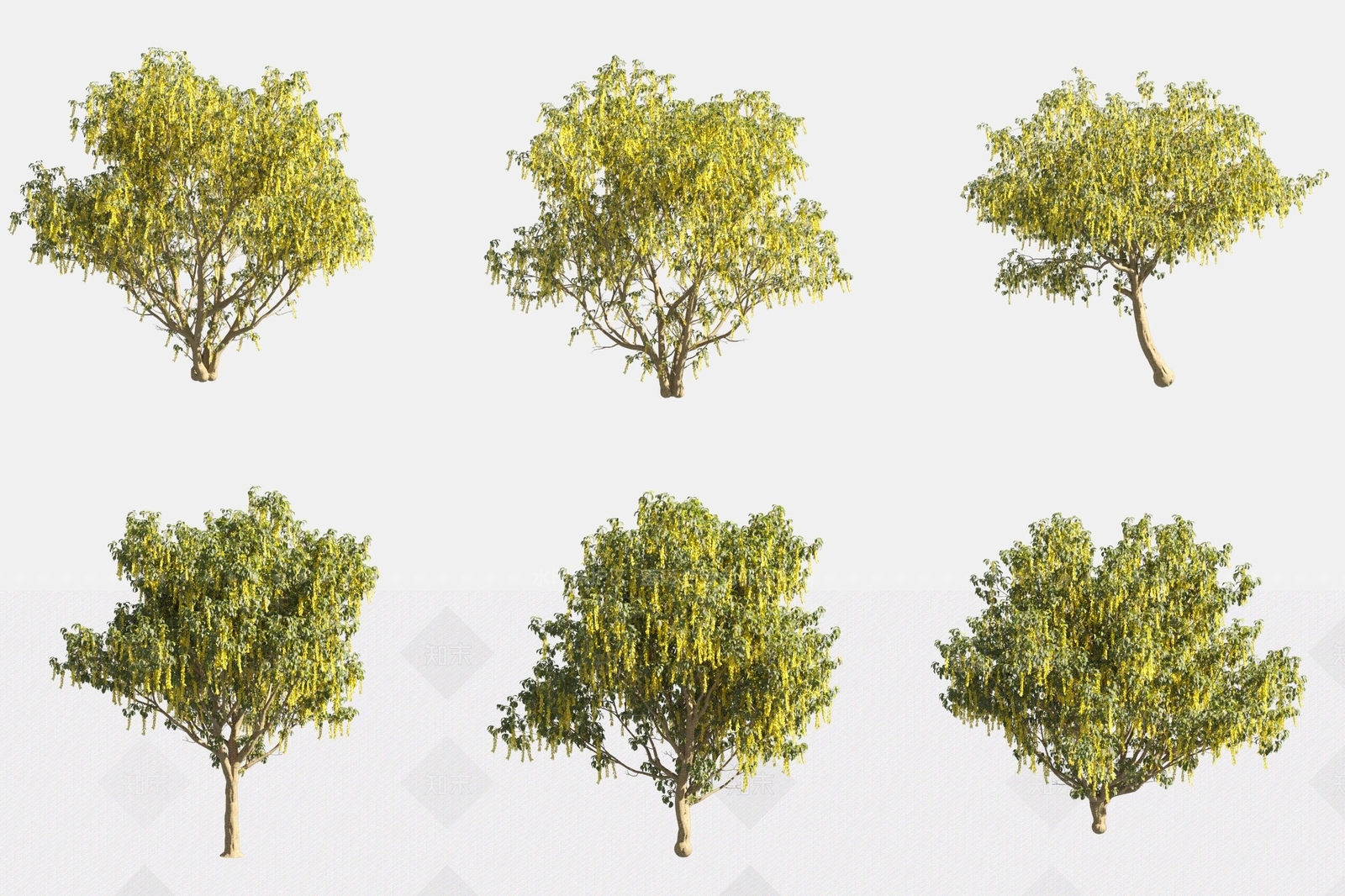 景观树3D模型下载【ID:1169178993】