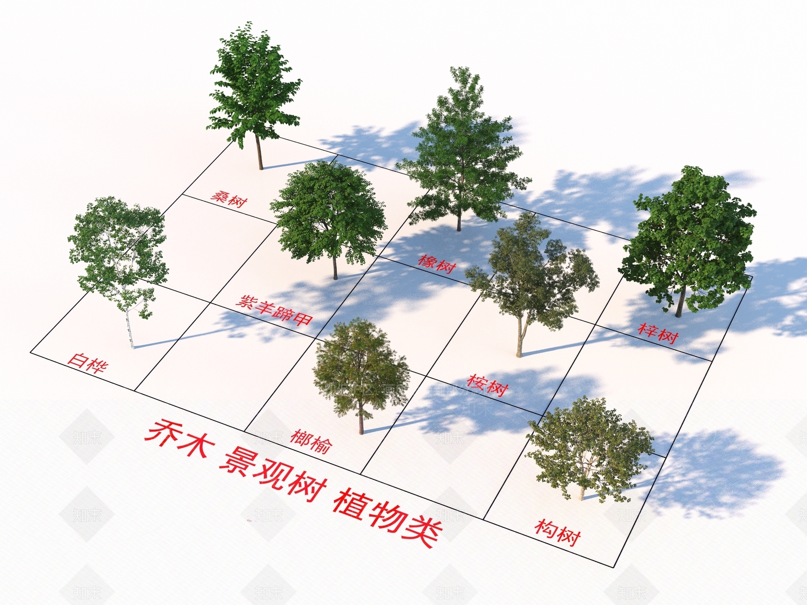 乔木3D模型下载【ID:1169196274】